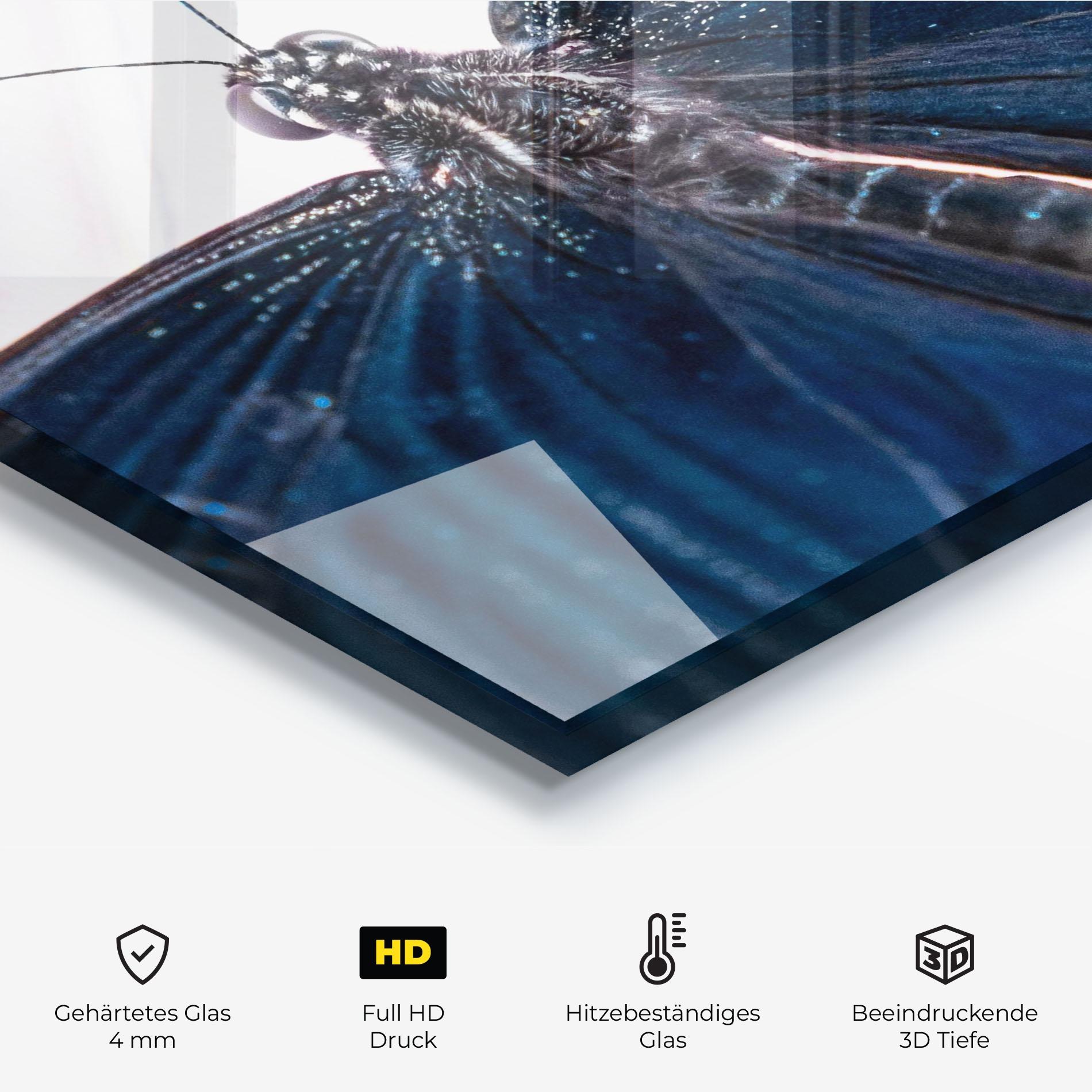 Küchenrückwand Glas Blue Butterfly mockup 2