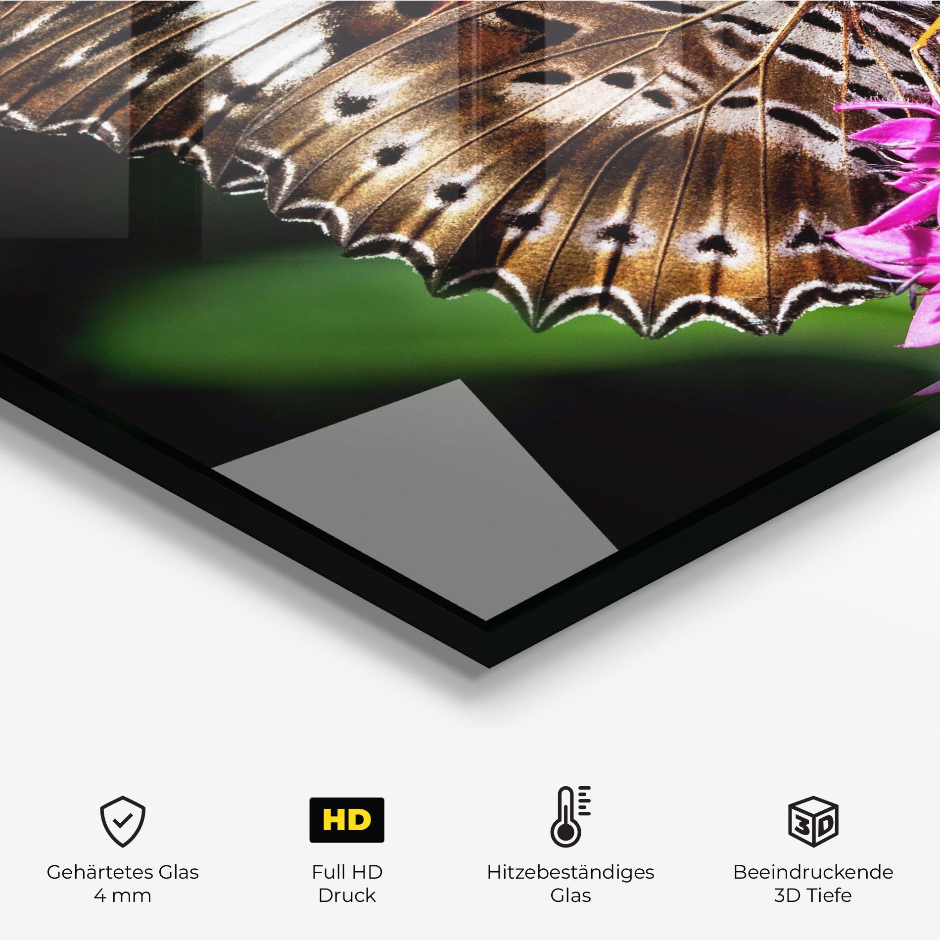 Küchenrückwand Glas Brown Red Butterfly mockup 2