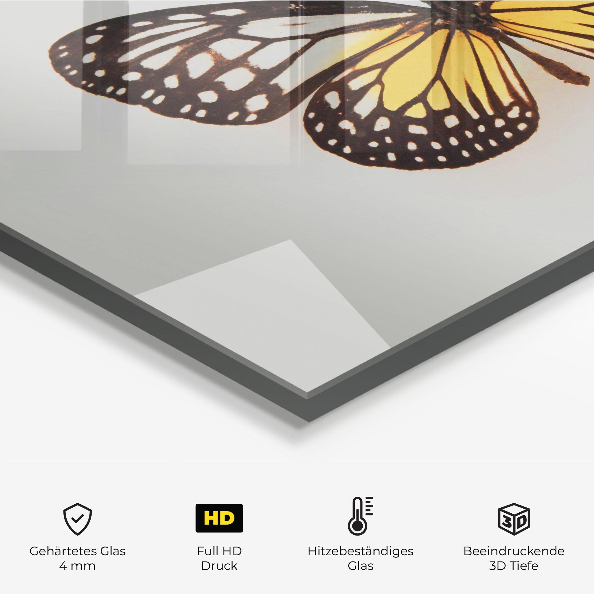 Küchenrückwand Glas Butterfly On Grey mockup 2