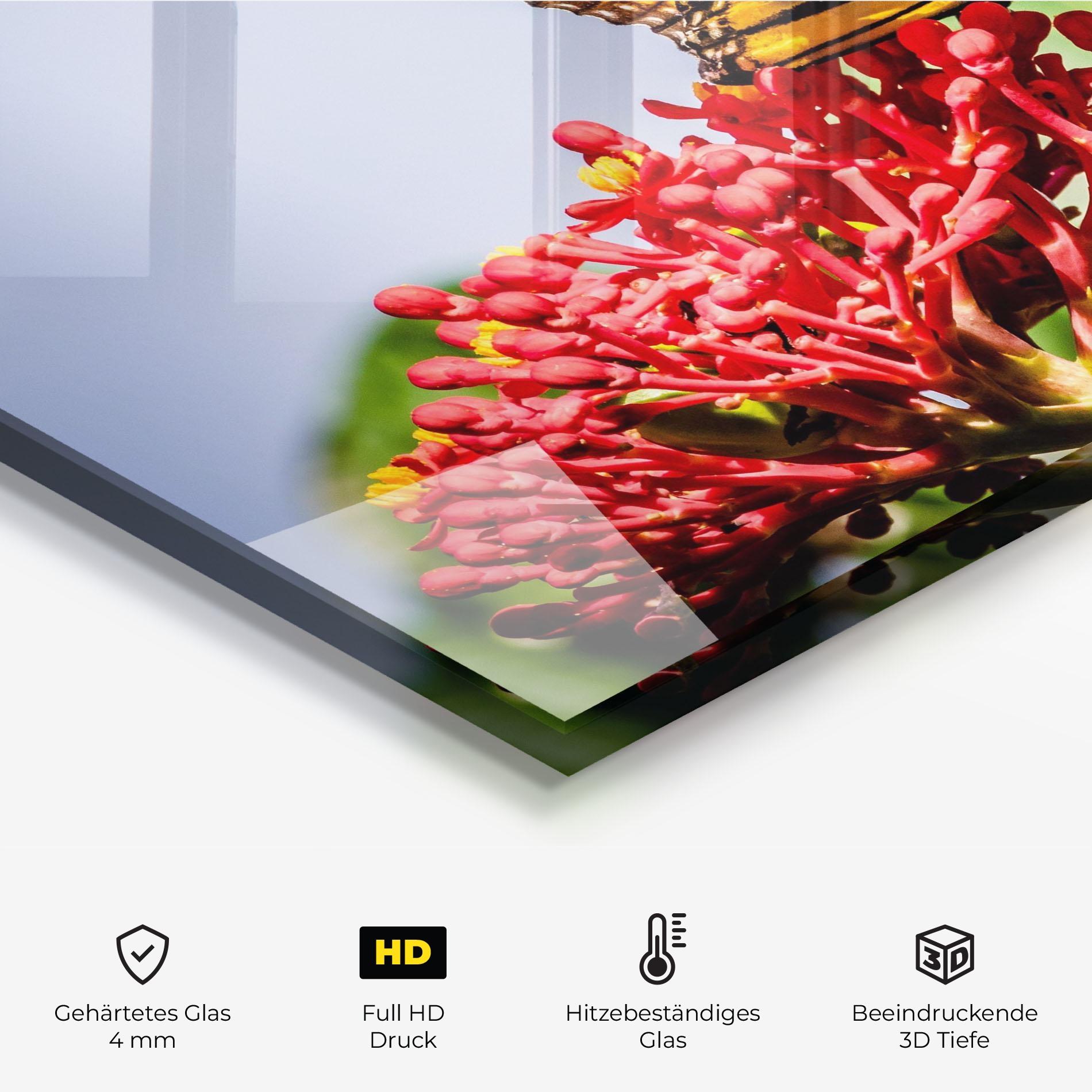 Küchenrückwand Glas Butterfly On Red Flower mockup 2