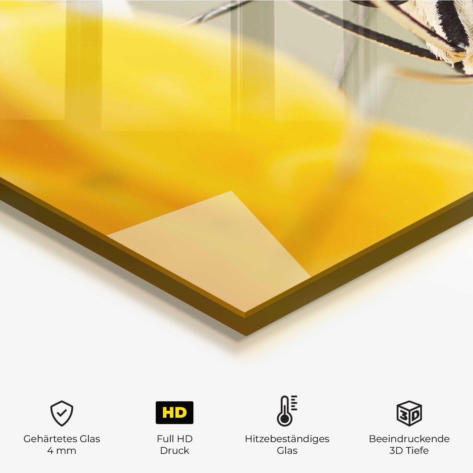 Küchenrückwand Glas Close Up Cream Butterfly mockup 2