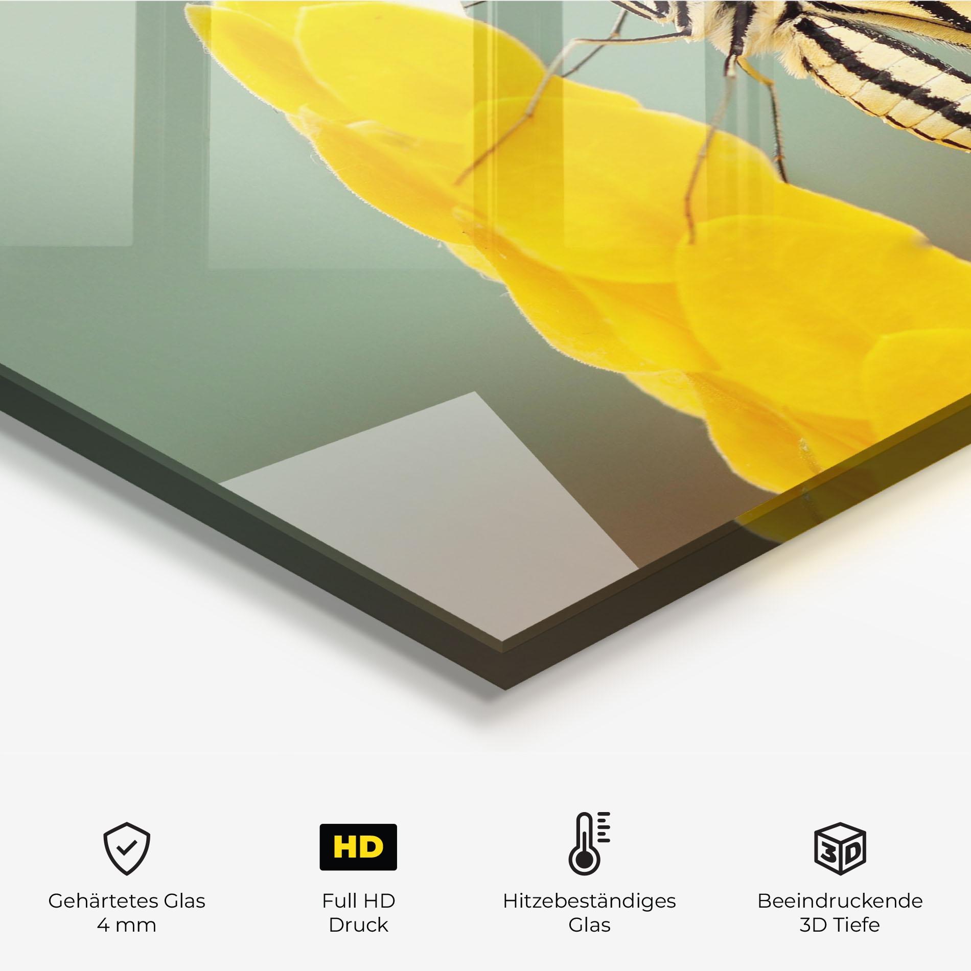 Küchenrückwand Glas Cream Yellow Butterfly mockup 2
