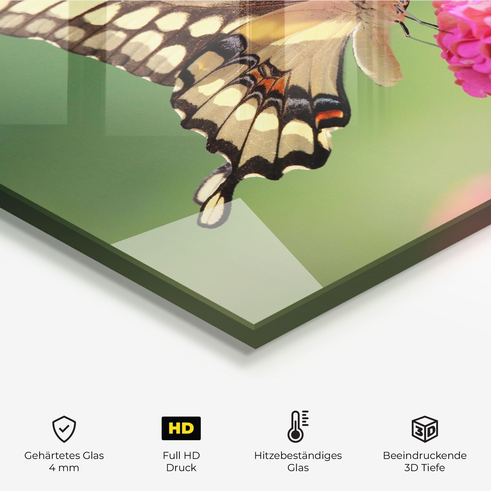 Küchenrückwand Glas Cute Cream Butterfly mockup 2