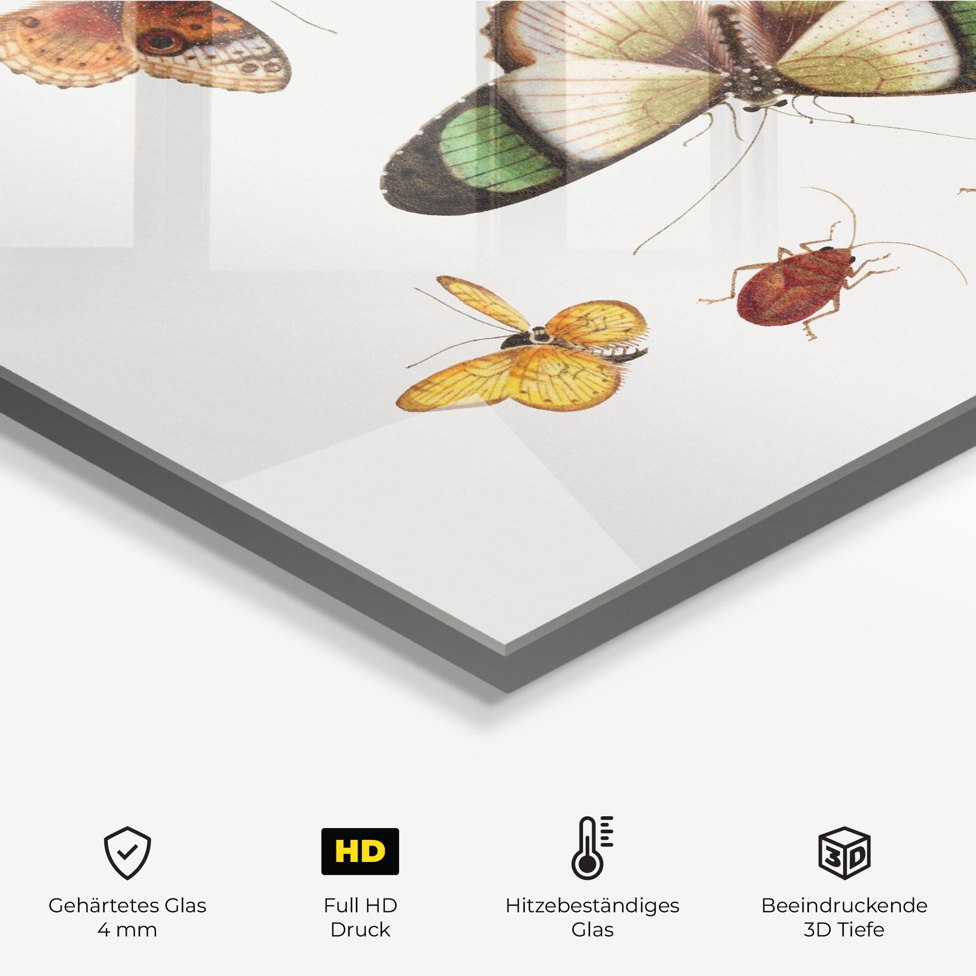 Küchenrückwand Glas Green Cream Butterfly mockup 2