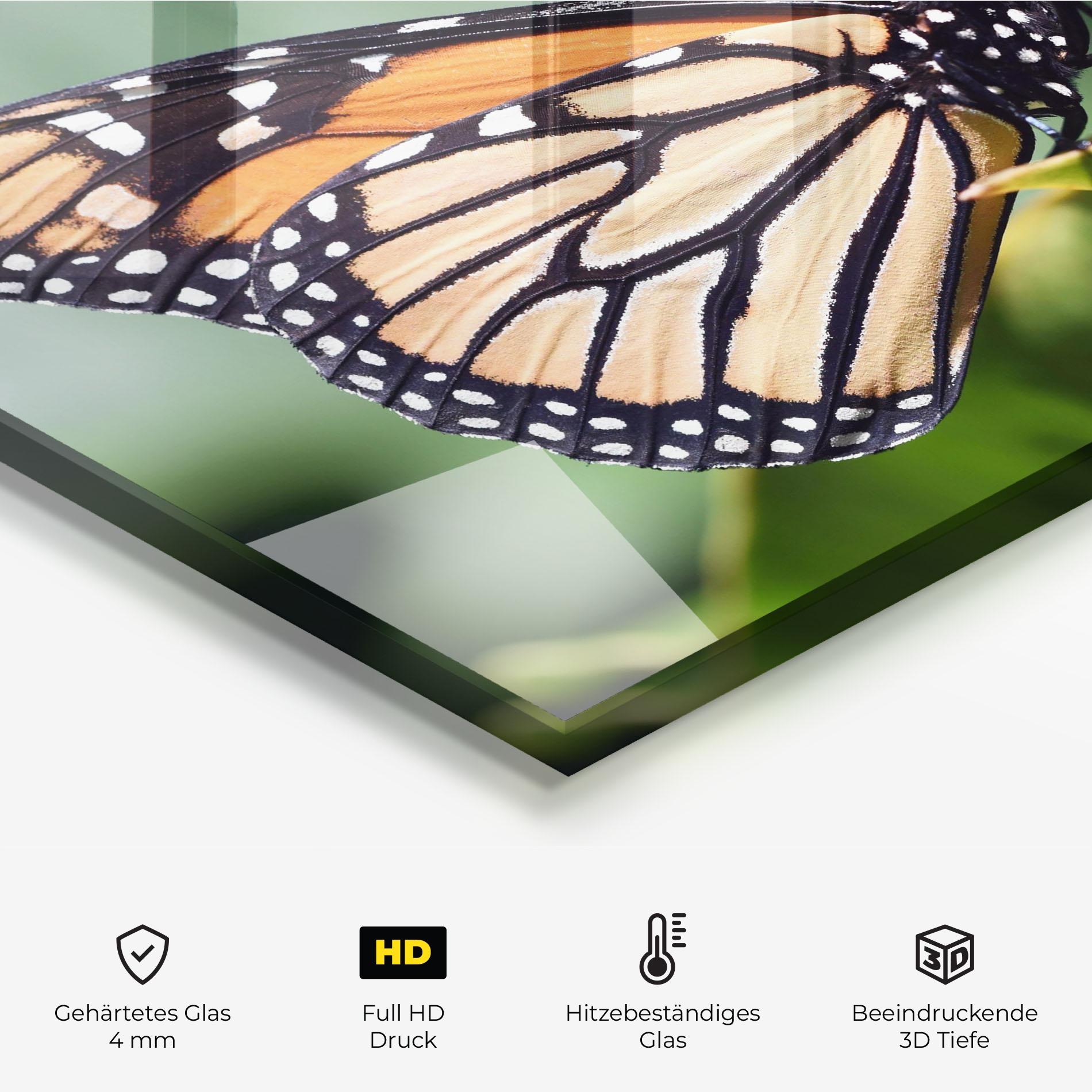 Küchenrückwand Glas Light Orange Butterfly mockup 2