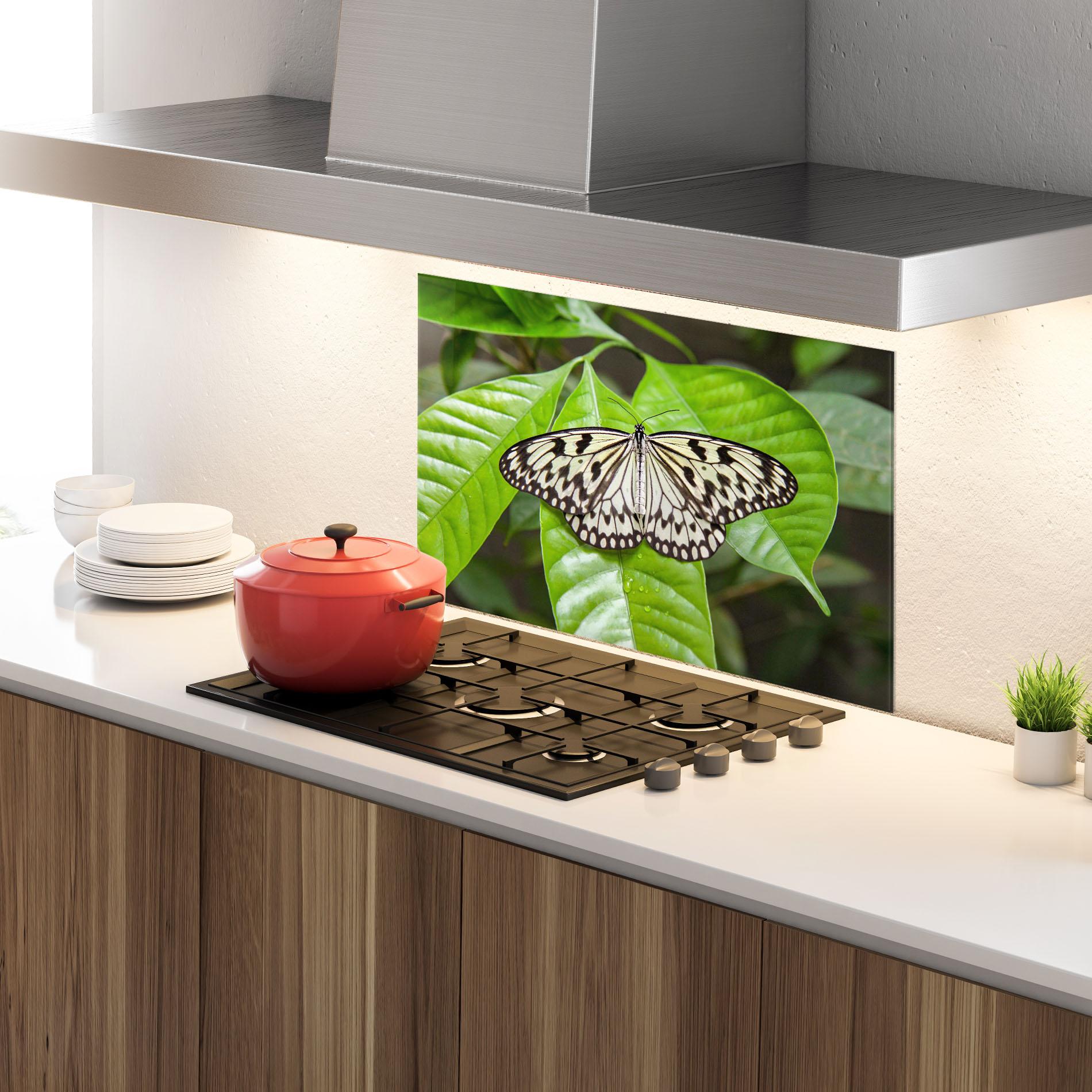 Küchenrückwand Glas Beautiful White Butterfly mockup 4