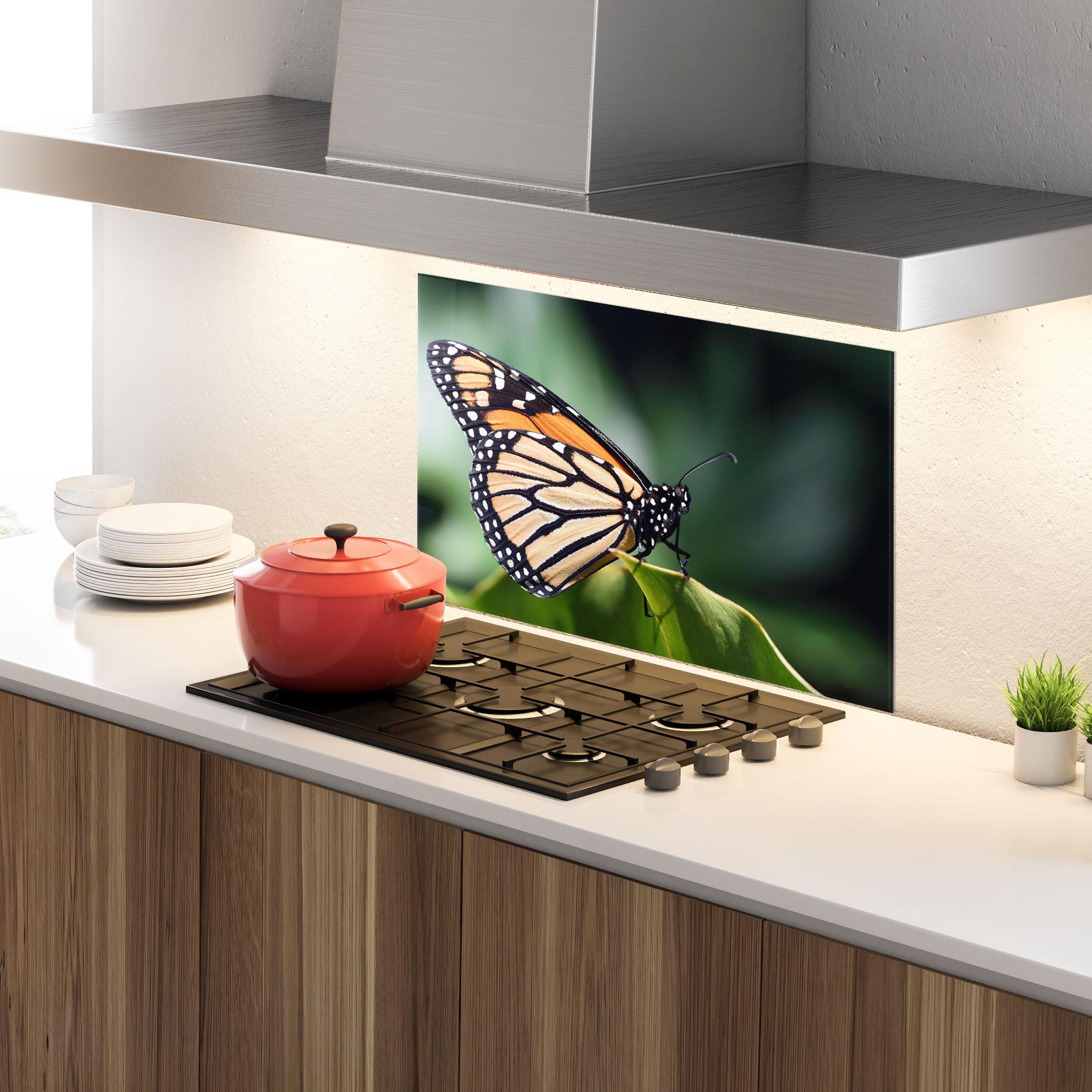 Küchenrückwand Glas Light Orange Butterfly mockup 4