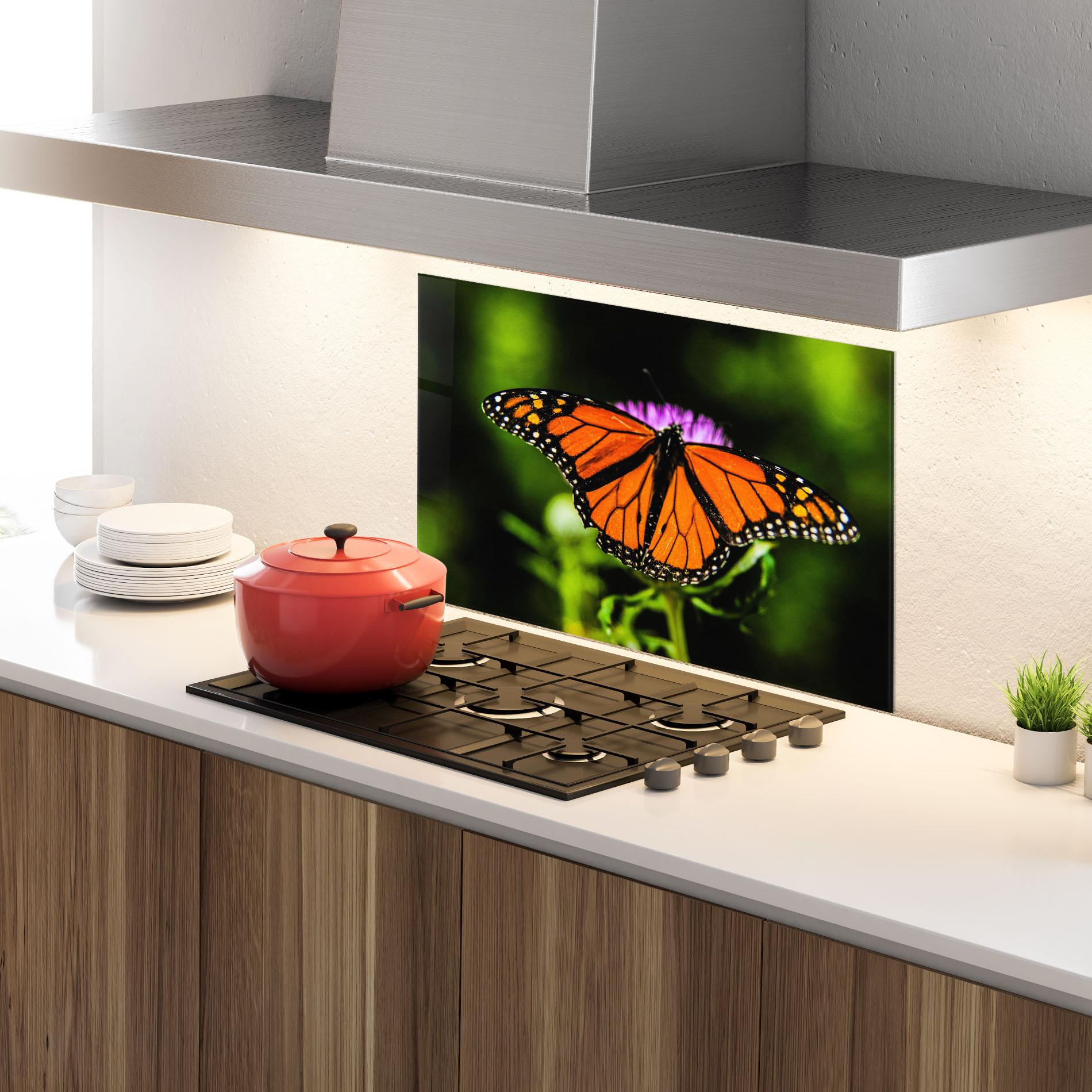 Küchenrückwand Glas Orange Open Butterfly mockup 4