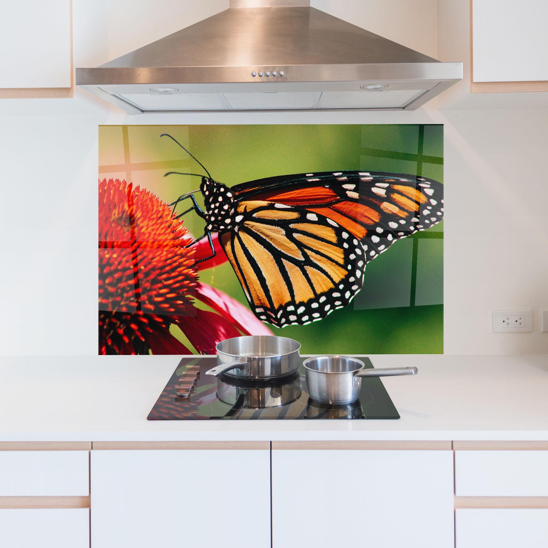 Küchenrückwand Glas Big Orange Butterfly mockup 5