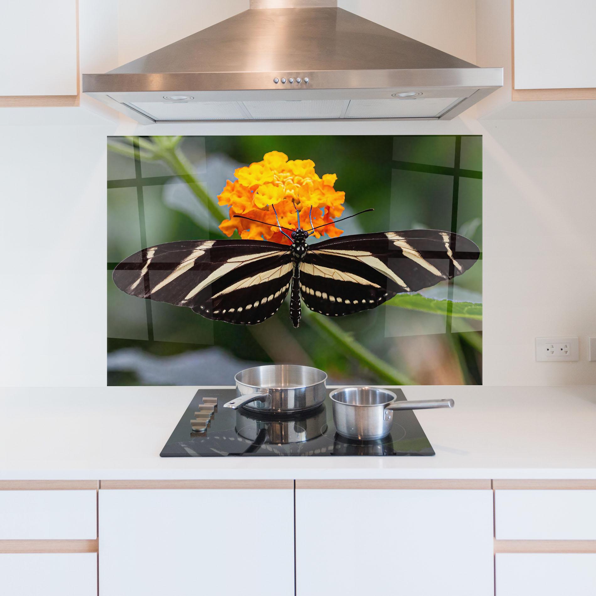 Küchenrückwand Glas Big Wings Butterfly mockup 5