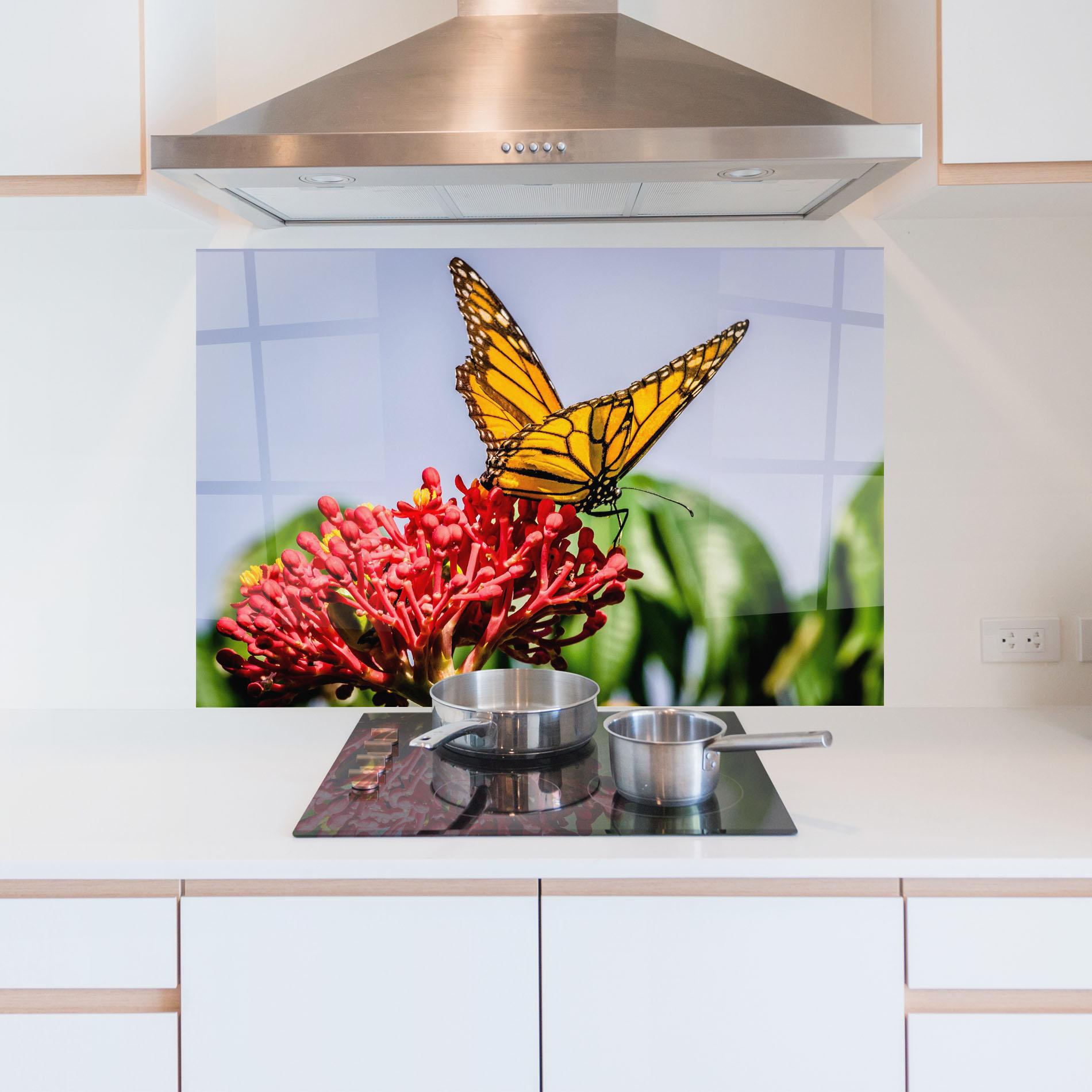 Küchenrückwand Glas Butterfly On Red Flower mockup 5