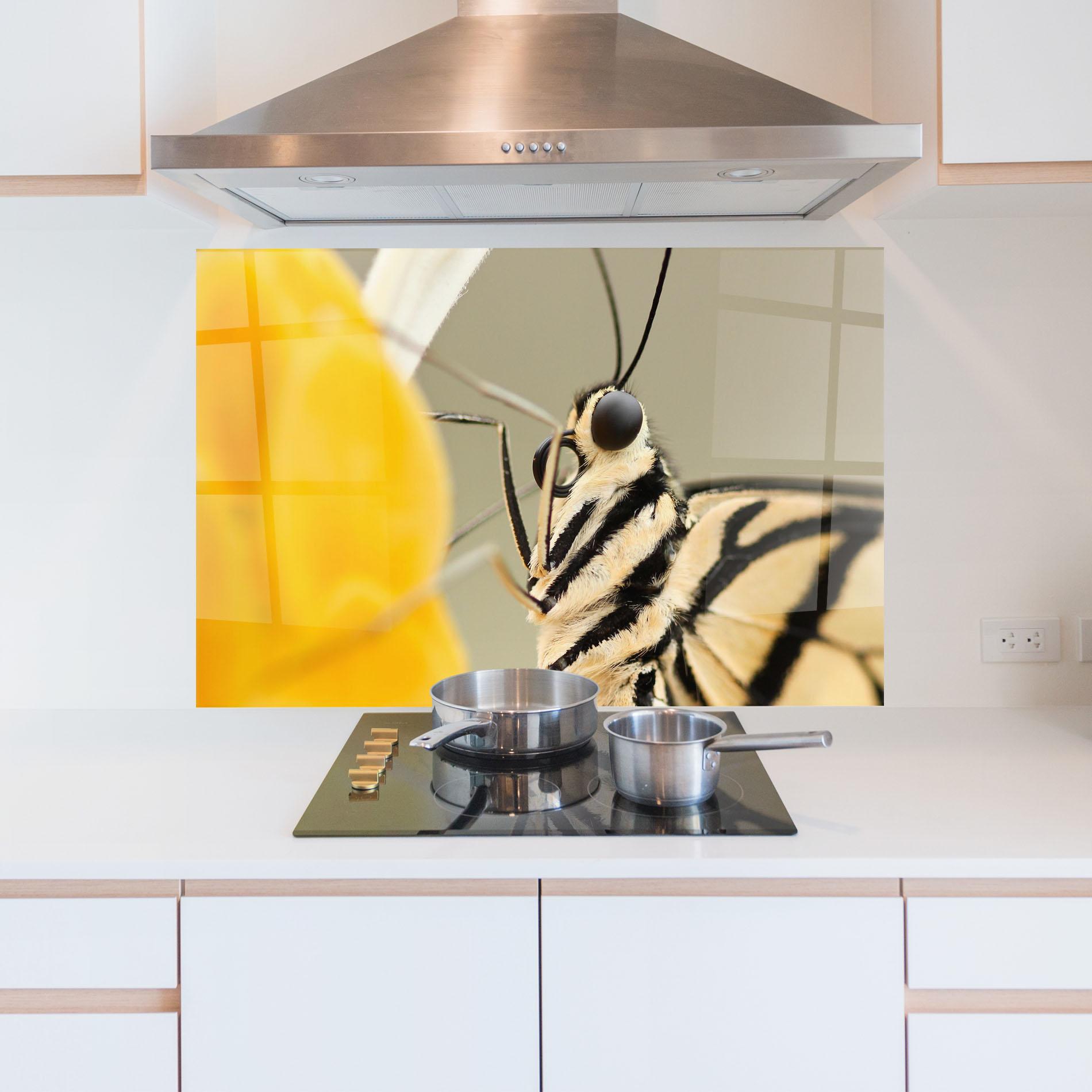 Küchenrückwand Glas Close Up Cream Butterfly mockup 5