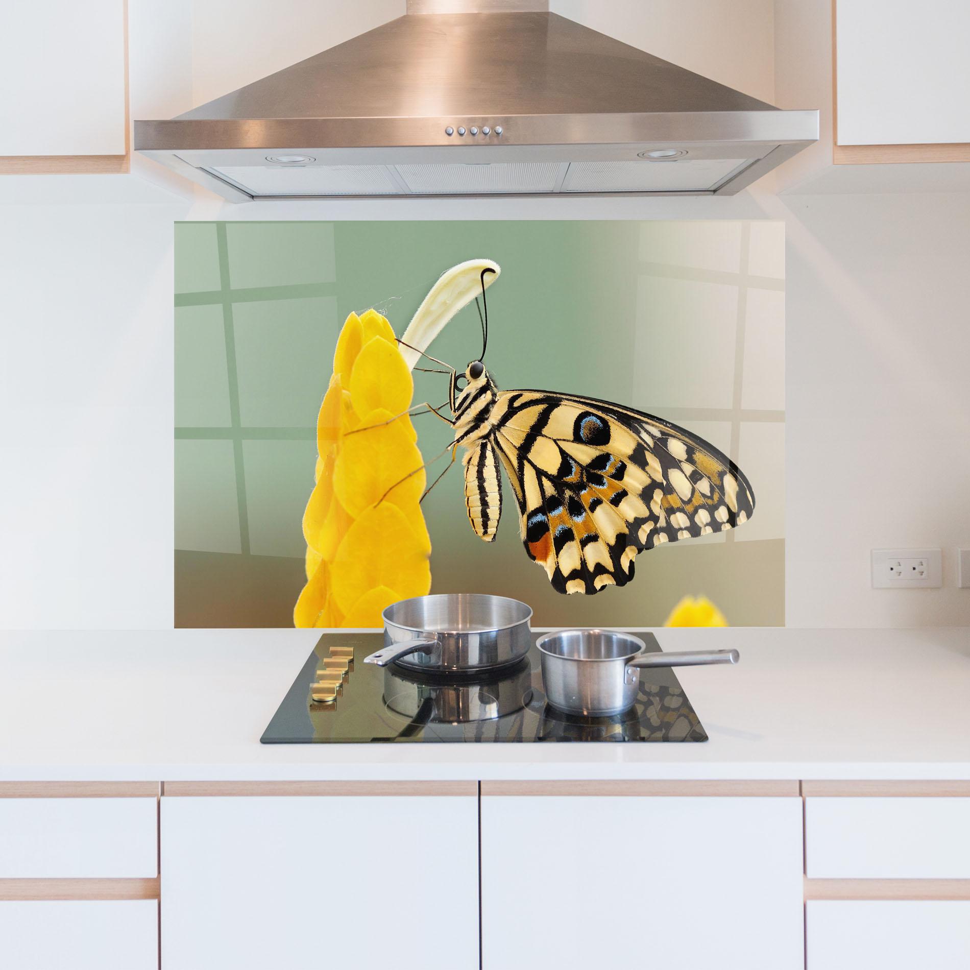 Küchenrückwand Glas Cream Yellow Butterfly mockup 5