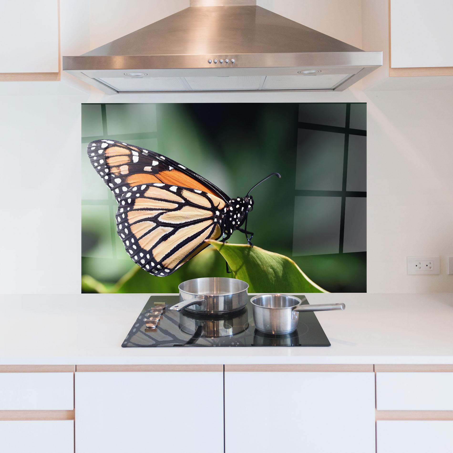 Küchenrückwand Glas Light Orange Butterfly mockup 5