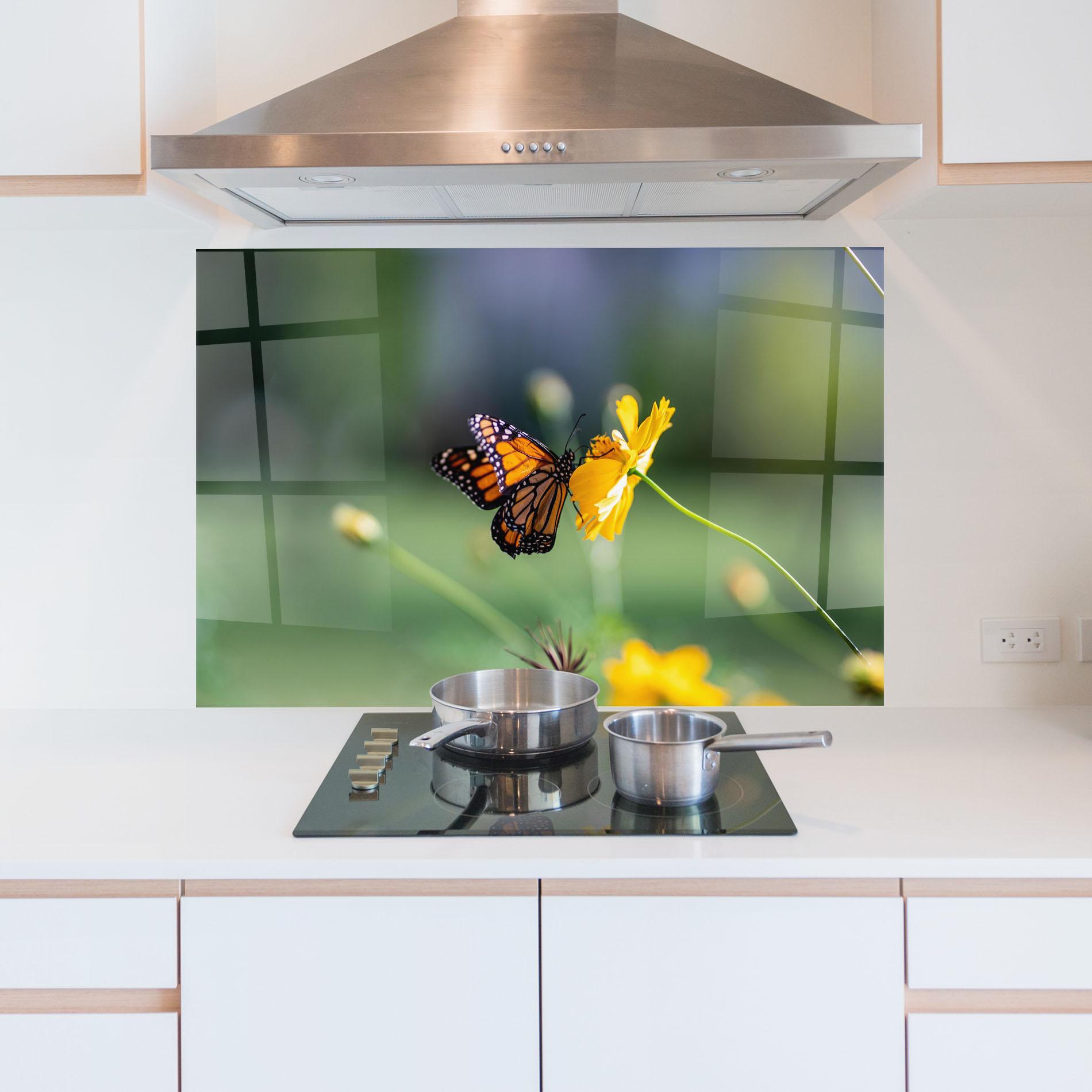 Küchenrückwand Glas Nice Orange Butterfly mockup 5