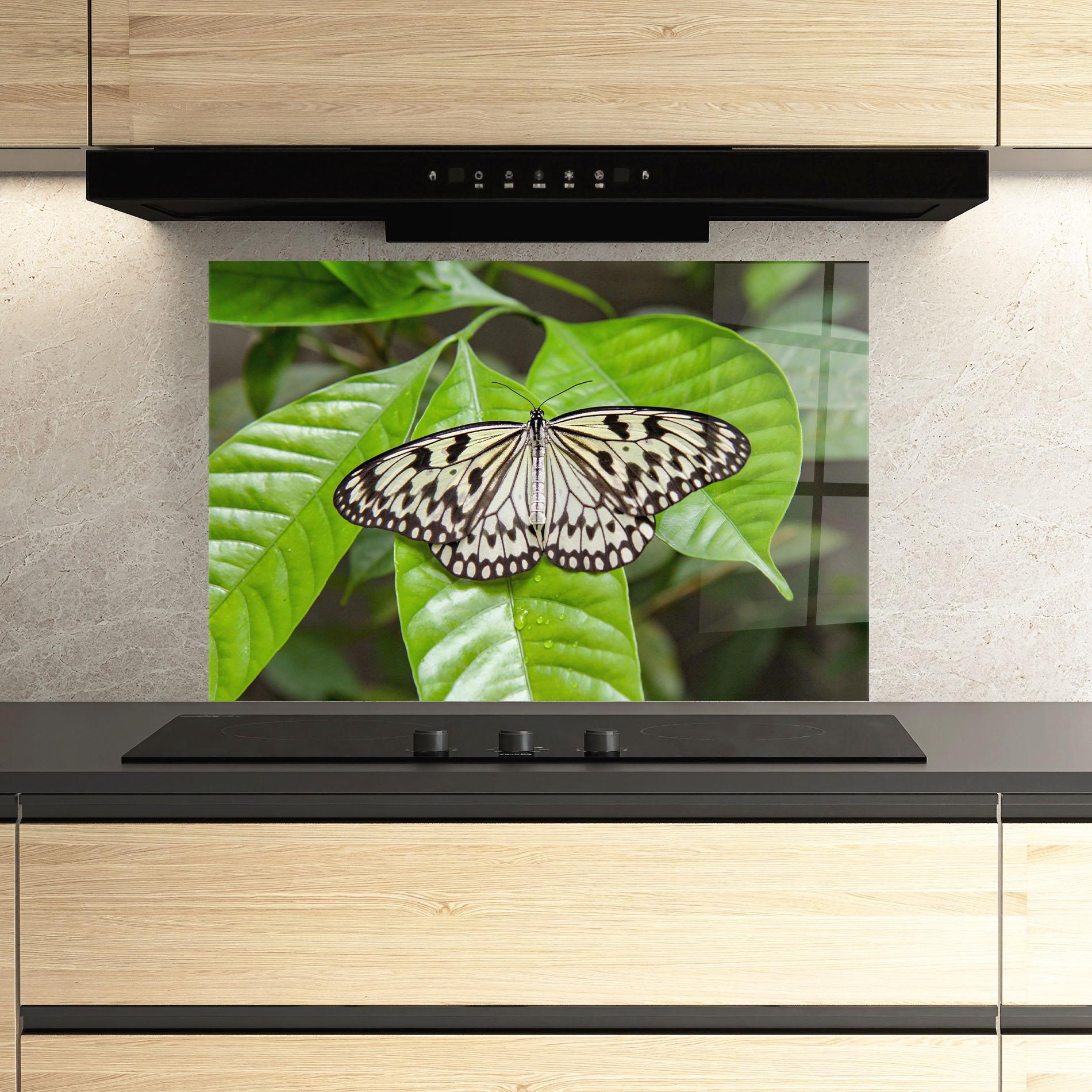 Küchenrückwand Glas Beautiful White Butterfly mockup 3