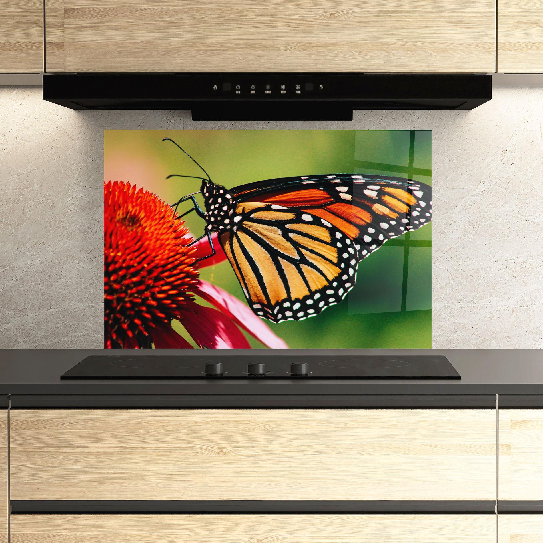 Küchenrückwand Glas Big Orange Butterfly mockup 3
