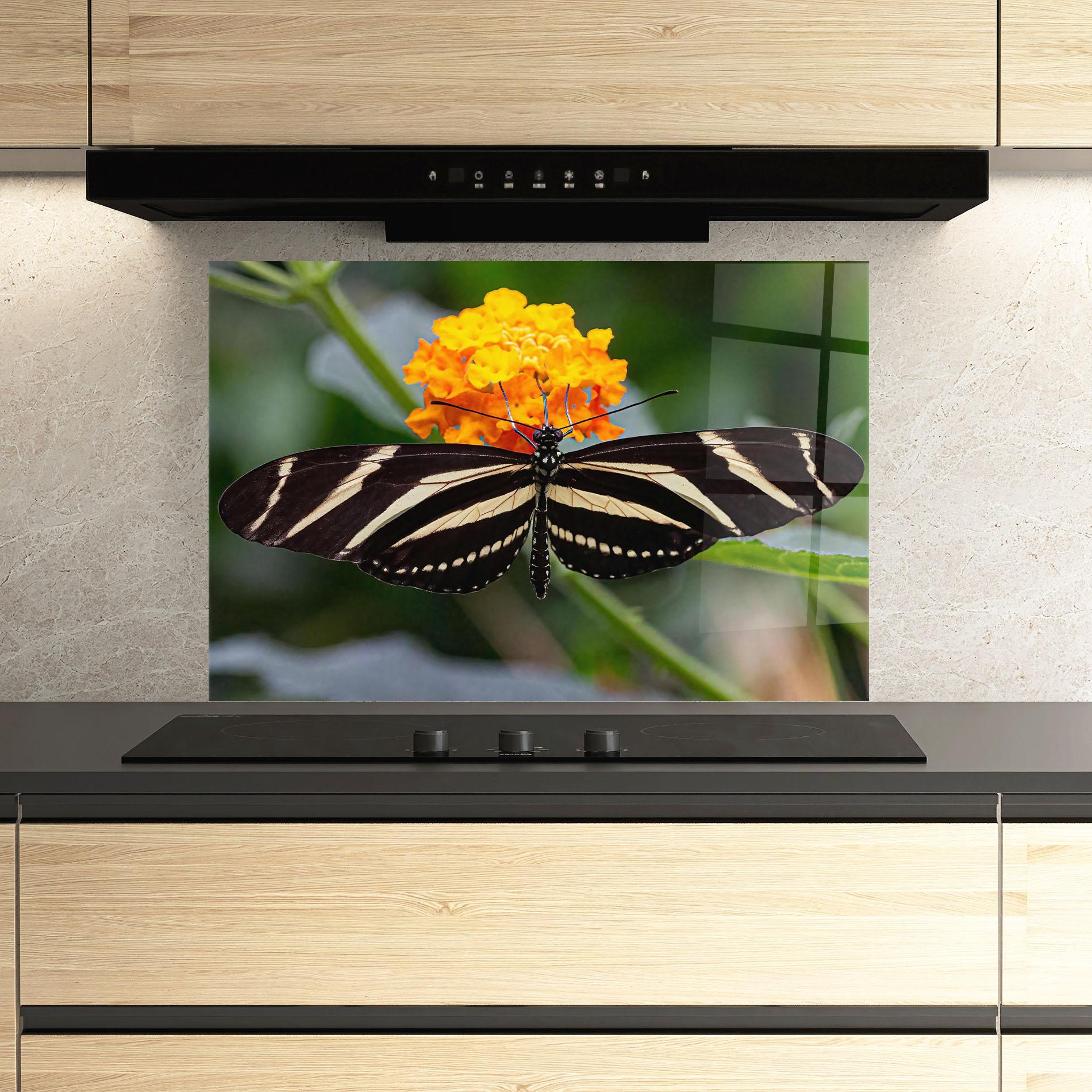 Küchenrückwand Glas Big Wings Butterfly mockup 3