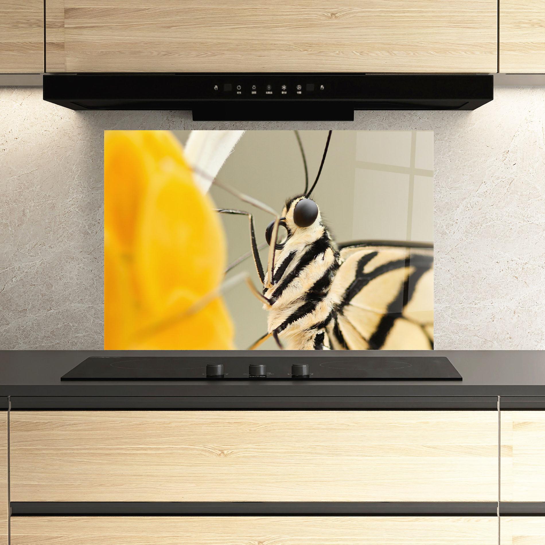 Küchenrückwand Glas Close Up Cream Butterfly mockup 3