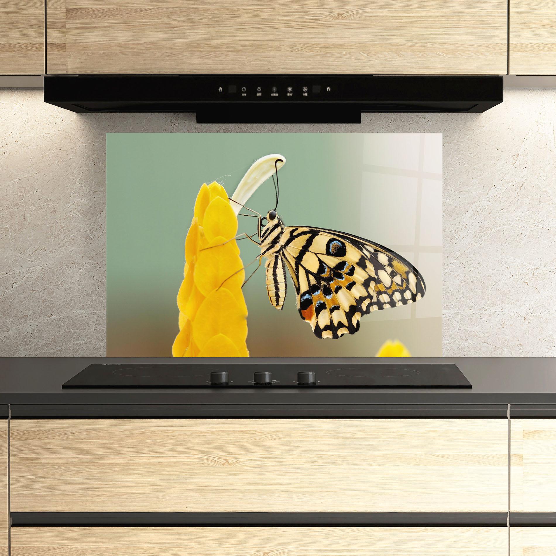 Küchenrückwand Glas Cream Yellow Butterfly mockup 3