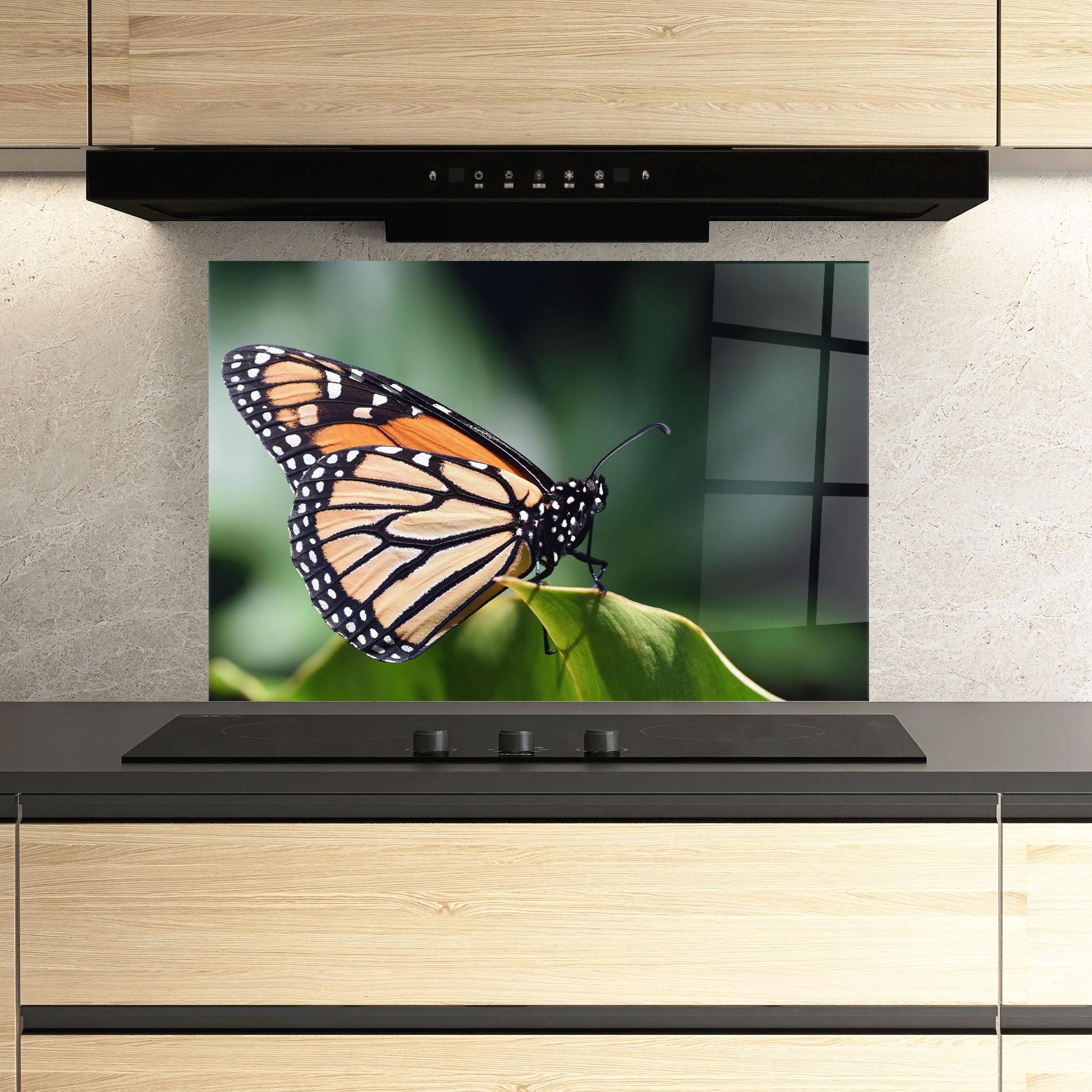 Küchenrückwand Glas Light Orange Butterfly mockup 3