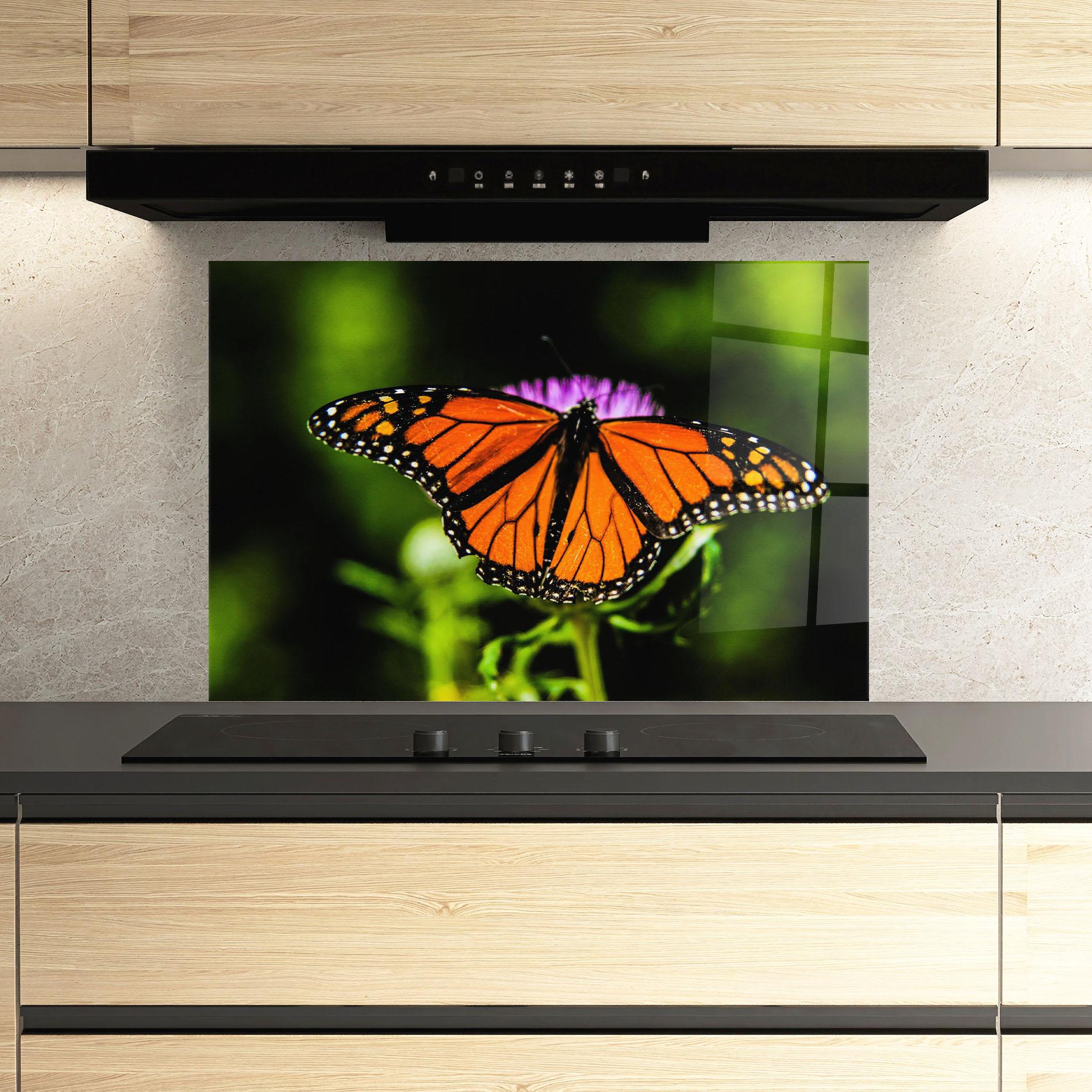 Küchenrückwand Glas Orange Open Butterfly mockup 3