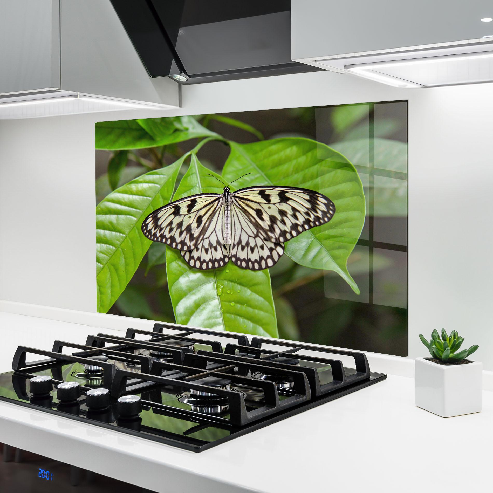 Küchenrückwand Glas Beautiful White Butterfly mockup 6