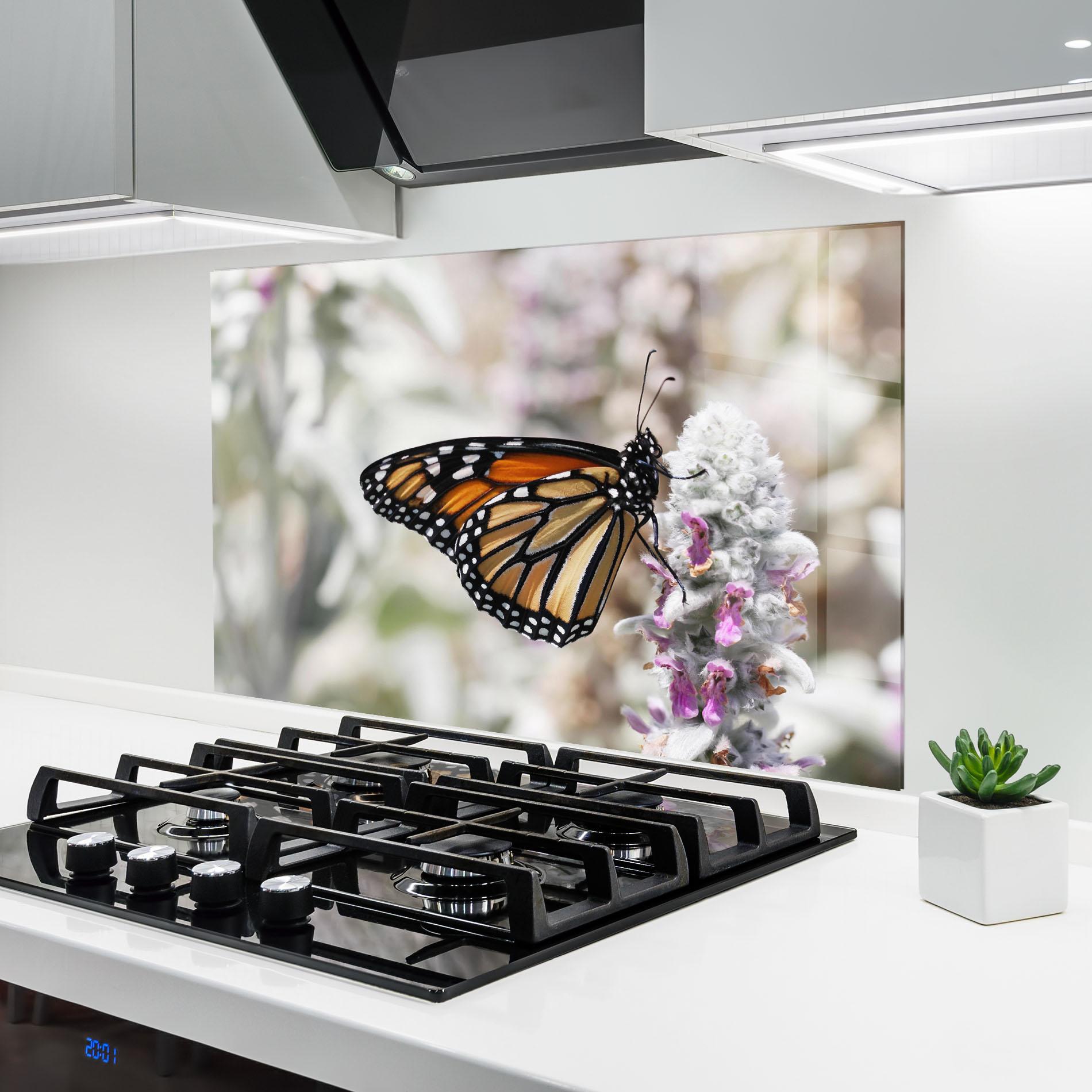 Küchenrückwand Glas Beauty Butterfly mockup 6