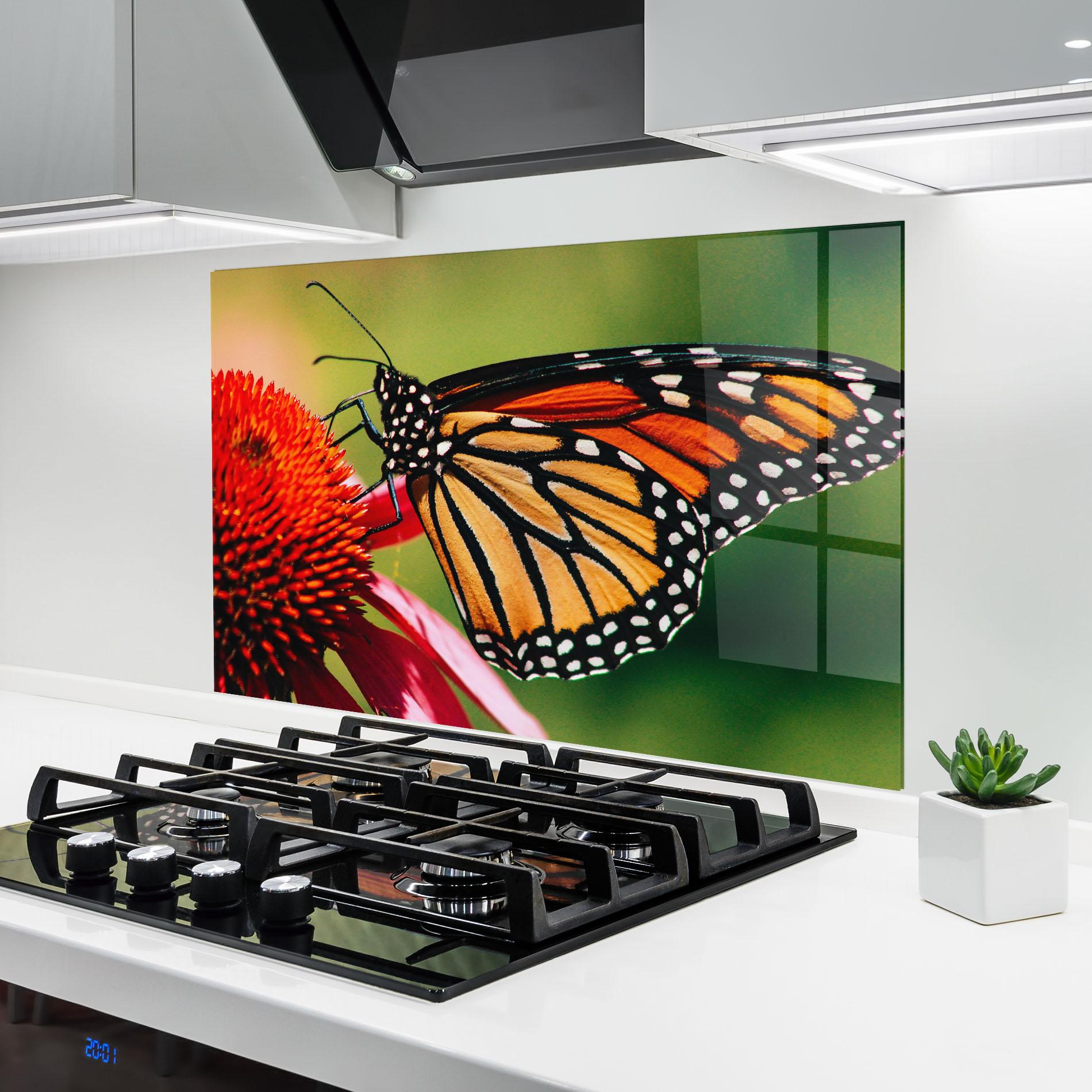 Küchenrückwand Glas Big Orange Butterfly mockup 6