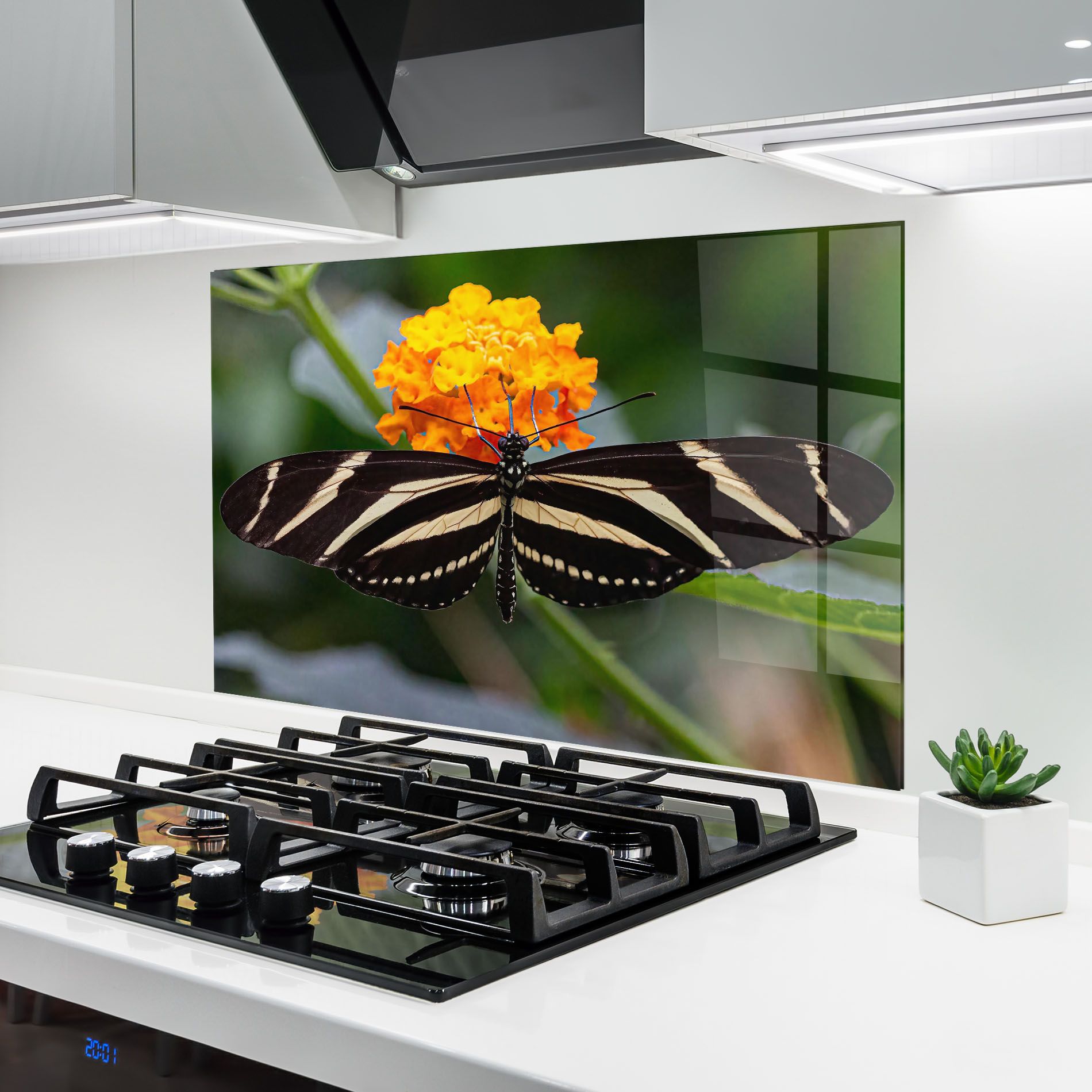 Big Wings Butterfly mockup 6