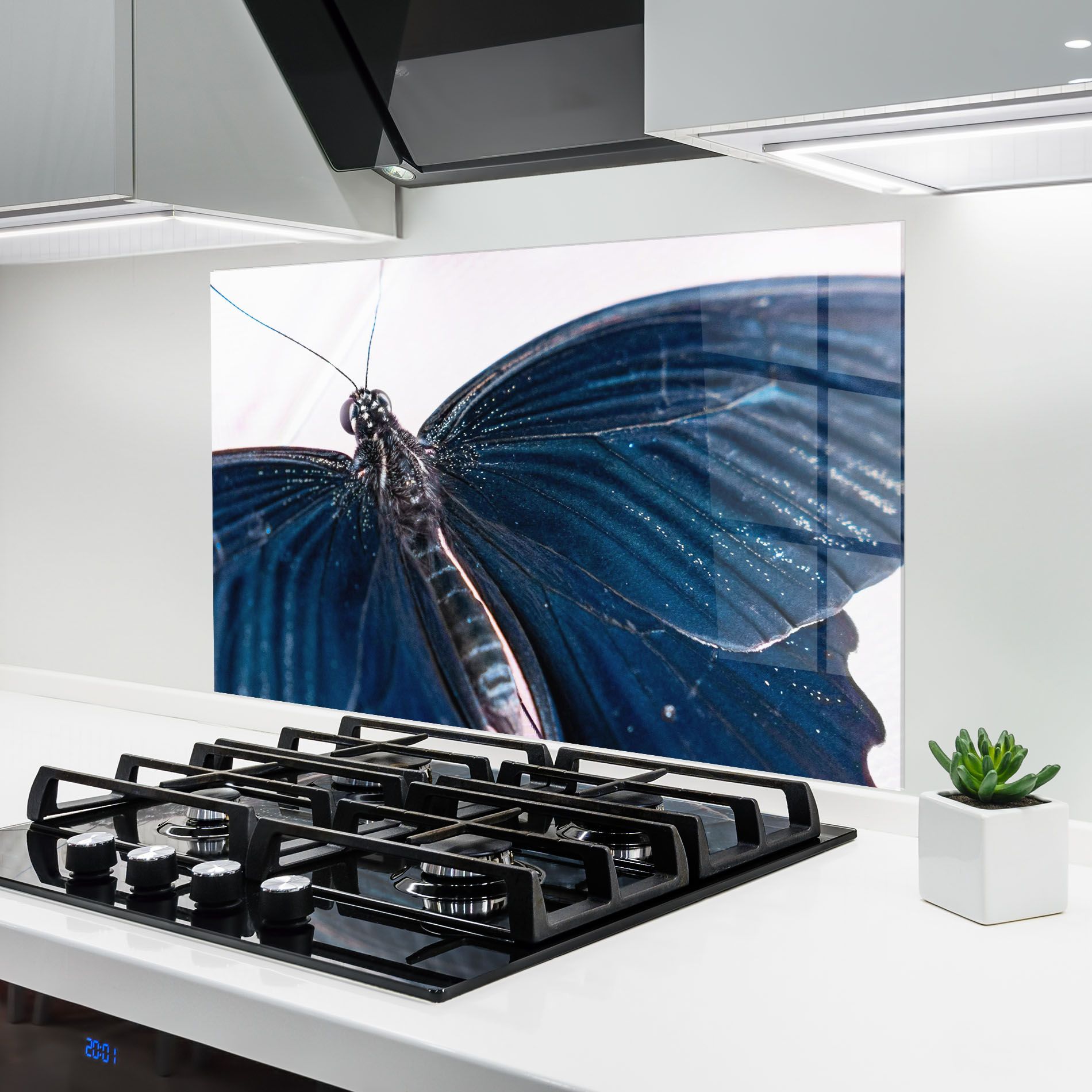 Blue Butterfly mockup 6