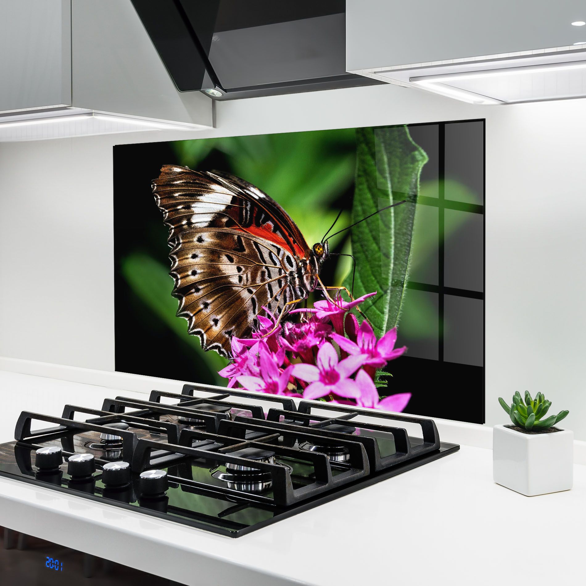 Brown Red Butterfly mockup 6