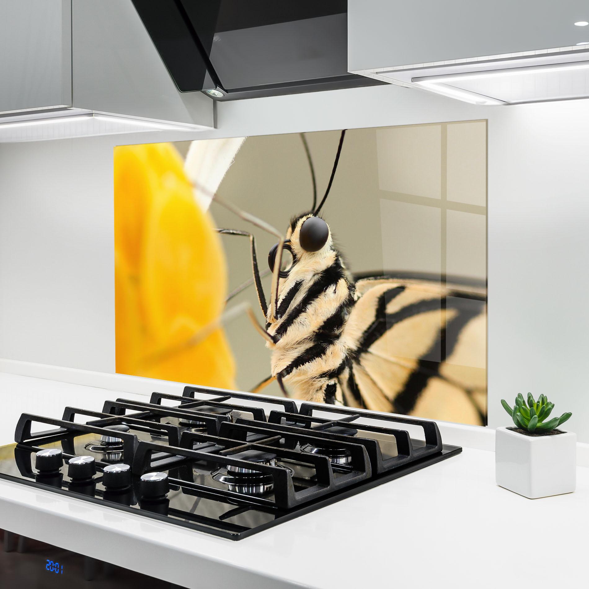 Küchenrückwand Glas Close Up Cream Butterfly mockup 6