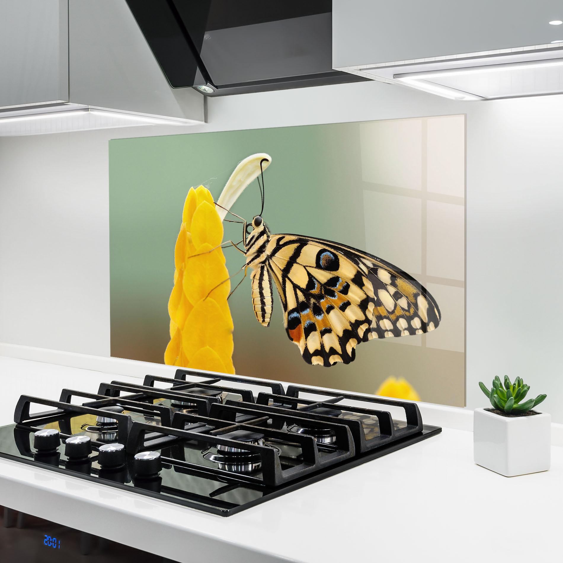Küchenrückwand Glas Cream Yellow Butterfly mockup 6