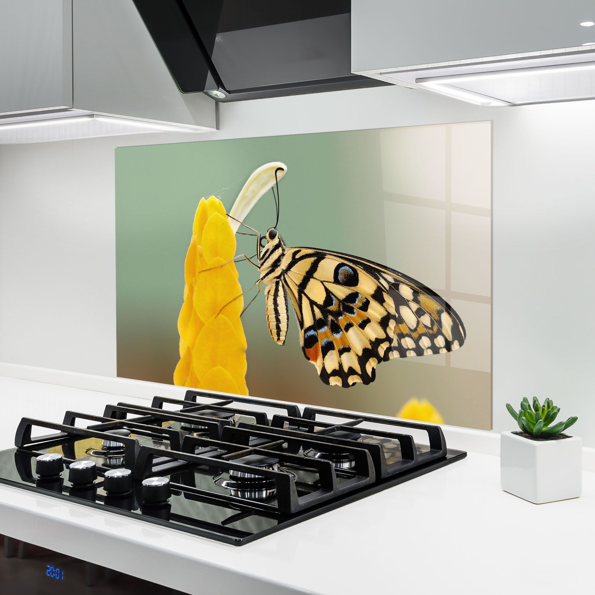 Cream Yellow Butterfly mockup 6