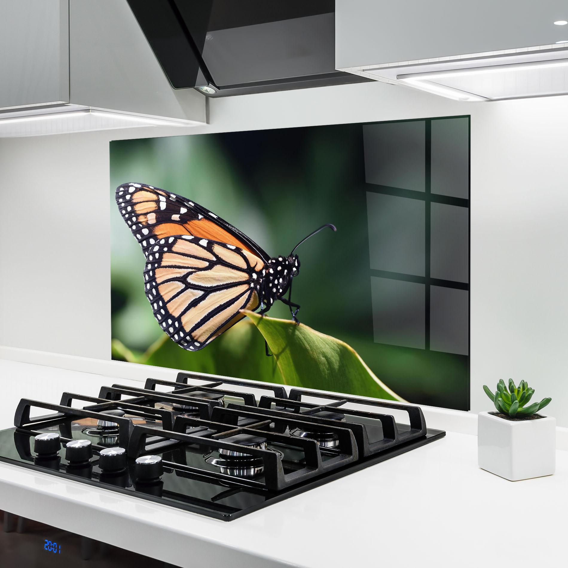 Küchenrückwand Glas Light Orange Butterfly mockup 6