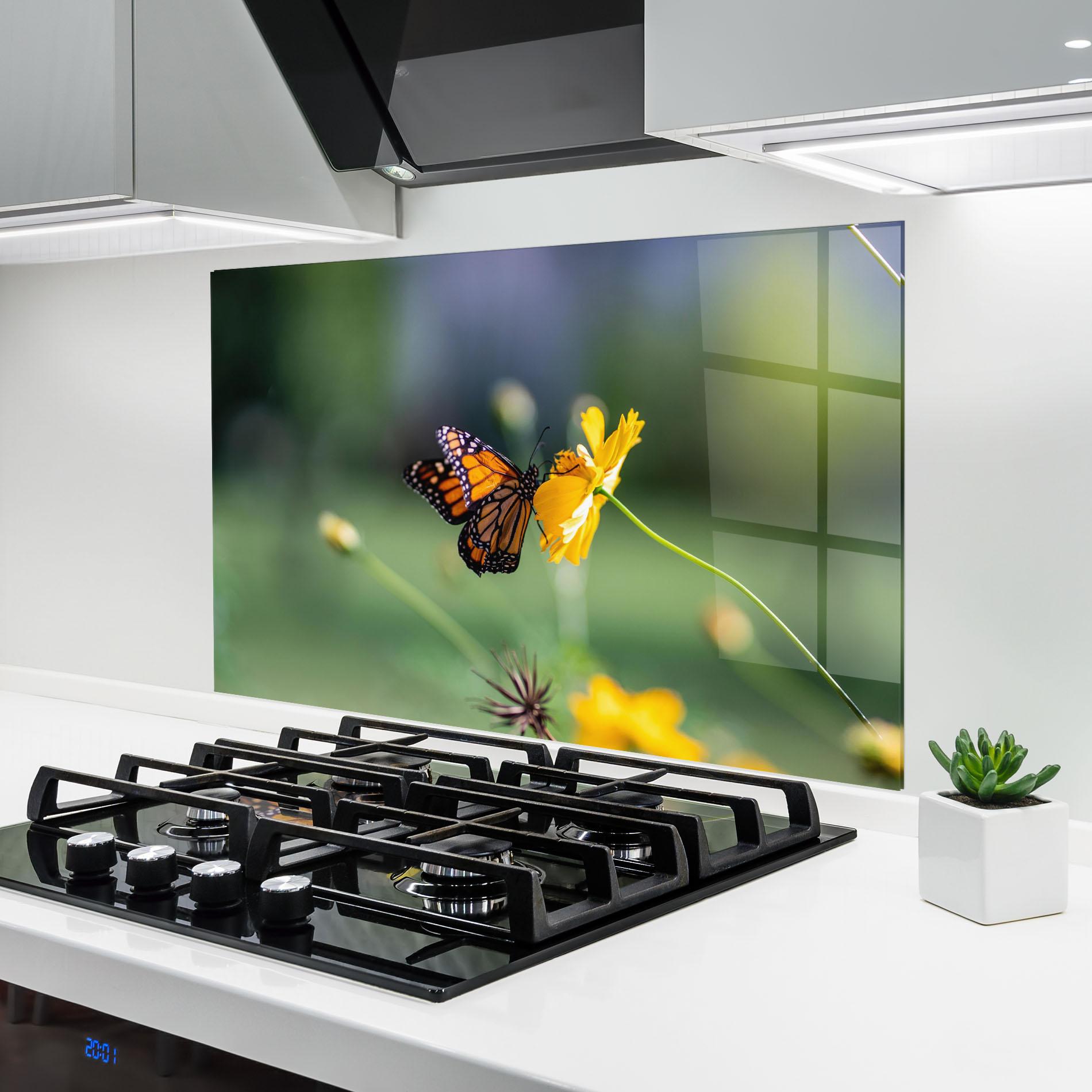 Küchenrückwand Glas Nice Orange Butterfly mockup 6