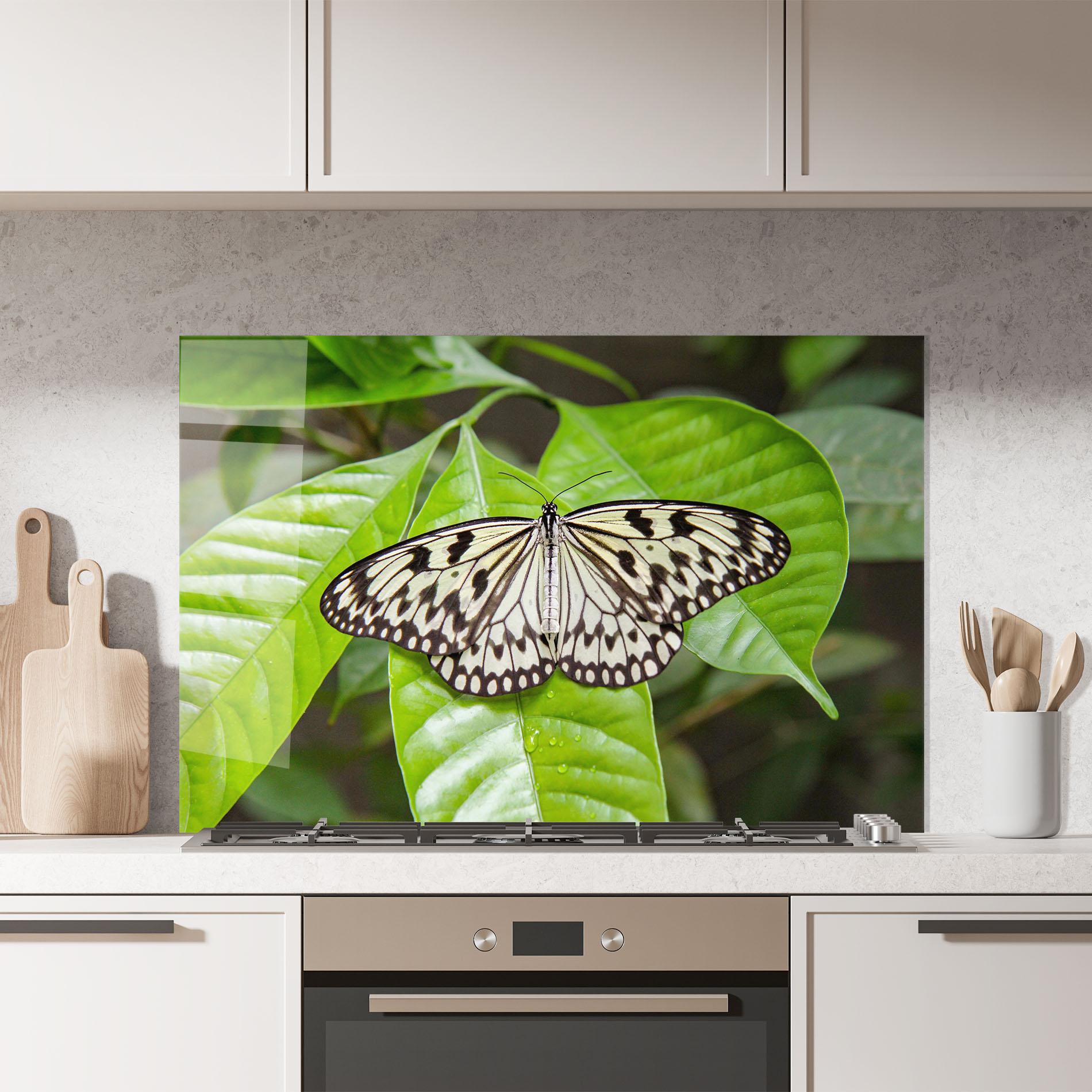Küchenrückwand Glas Beautiful White Butterfly mockup 7