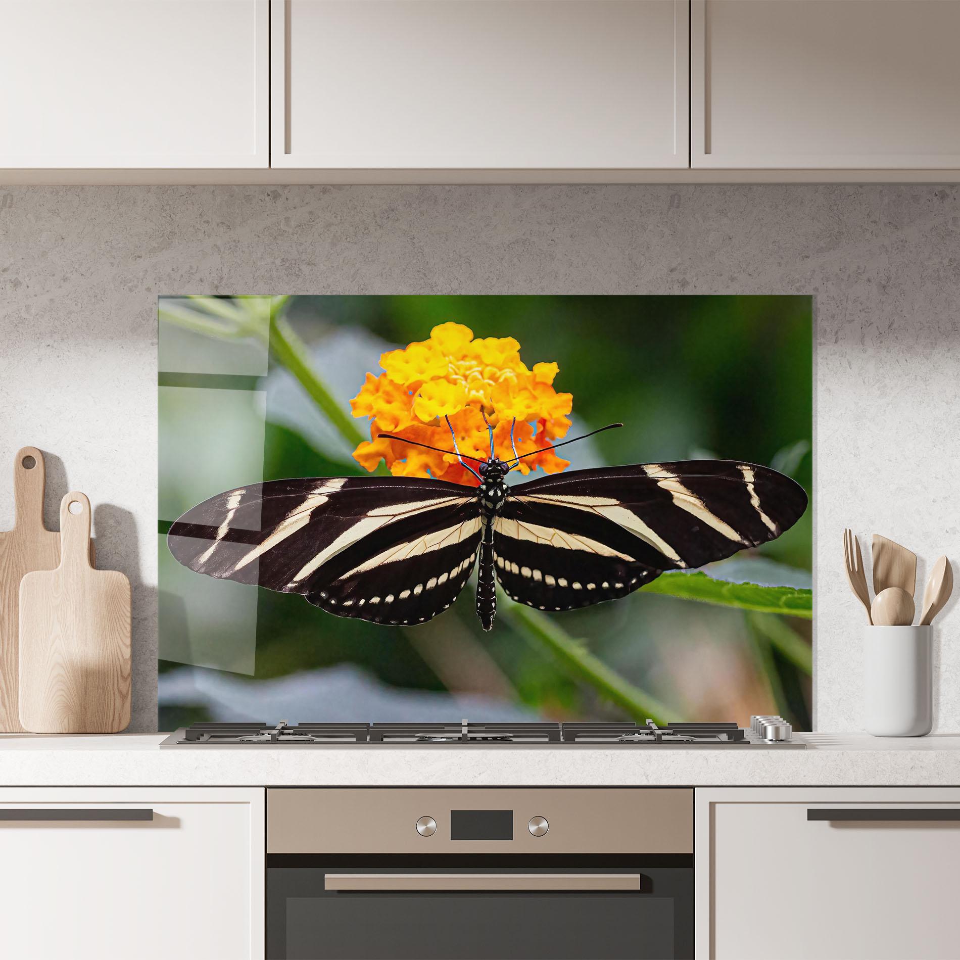 Küchenrückwand Glas Big Wings Butterfly mockup 7