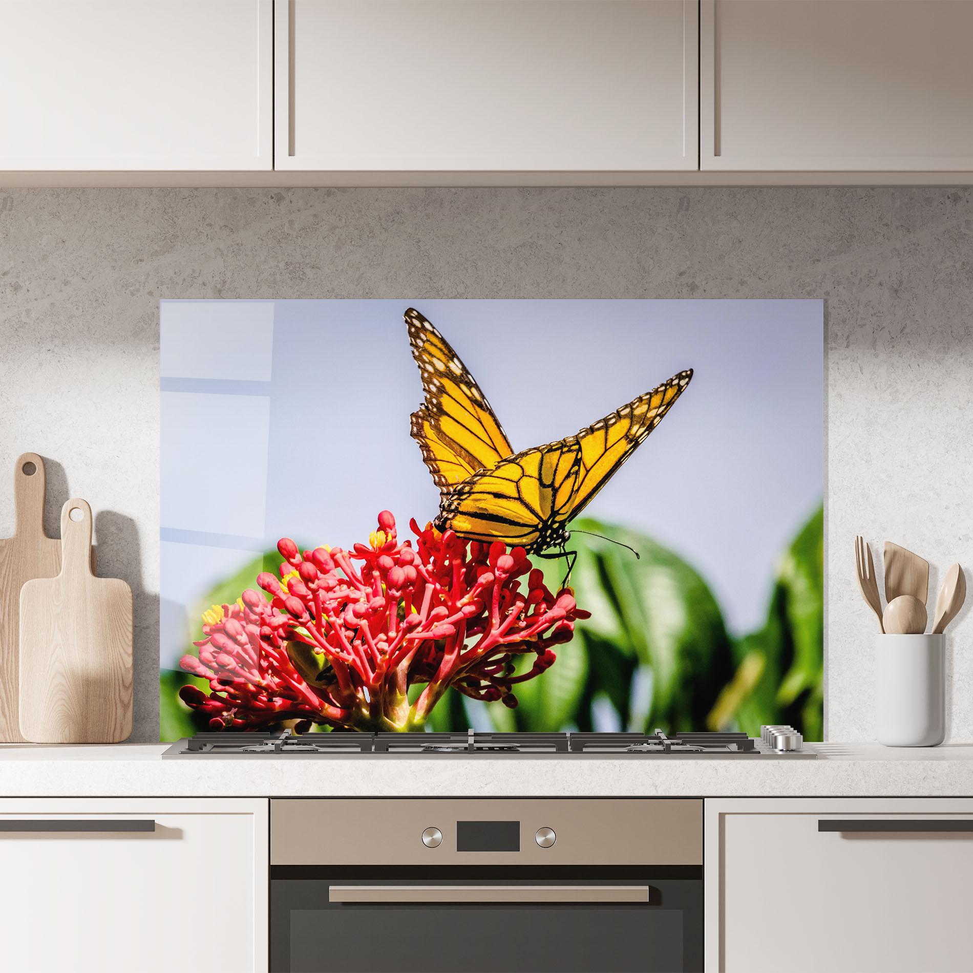 Küchenrückwand Glas Butterfly On Red Flower mockup 7