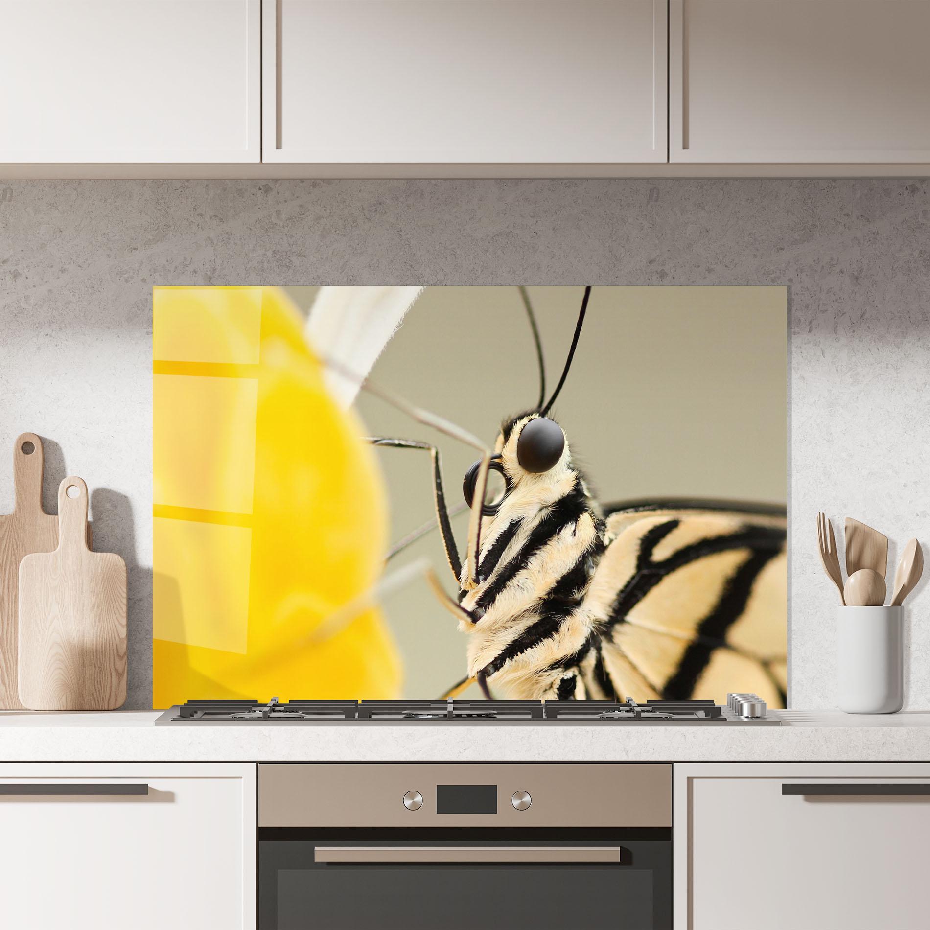 Küchenrückwand Glas Close Up Cream Butterfly mockup 7