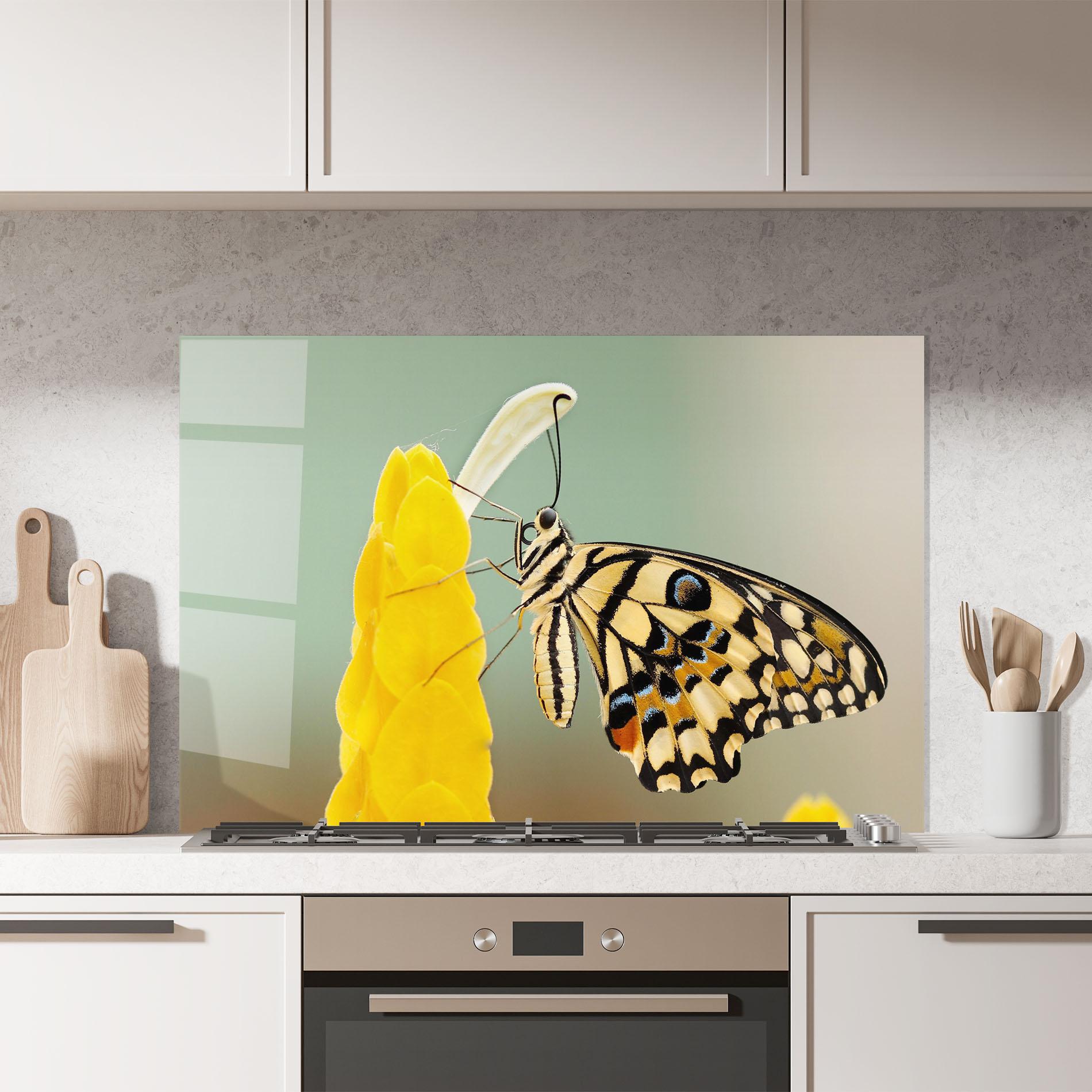 Küchenrückwand Glas Cream Yellow Butterfly mockup 7