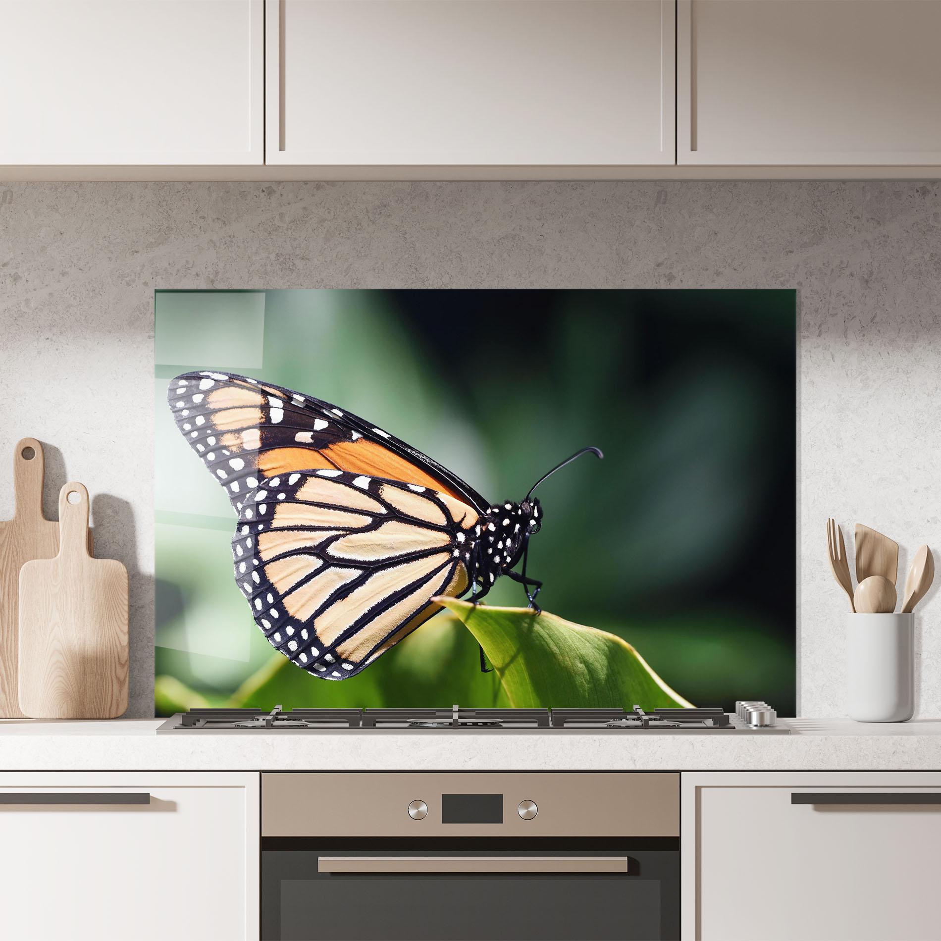 Küchenrückwand Glas Light Orange Butterfly mockup 7
