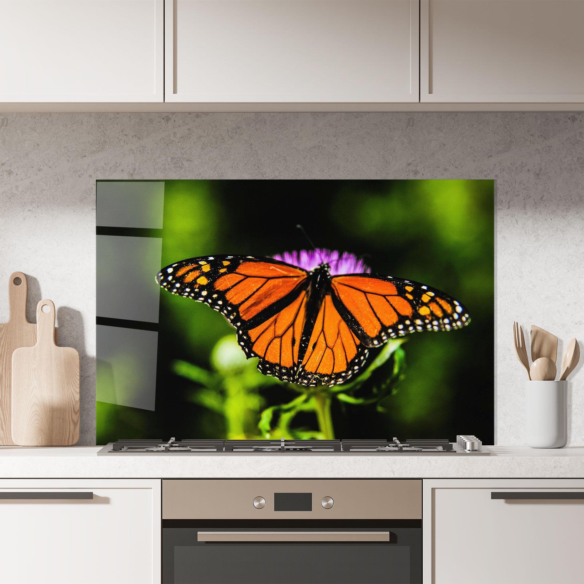 Küchenrückwand Glas Orange Open Butterfly mockup 7