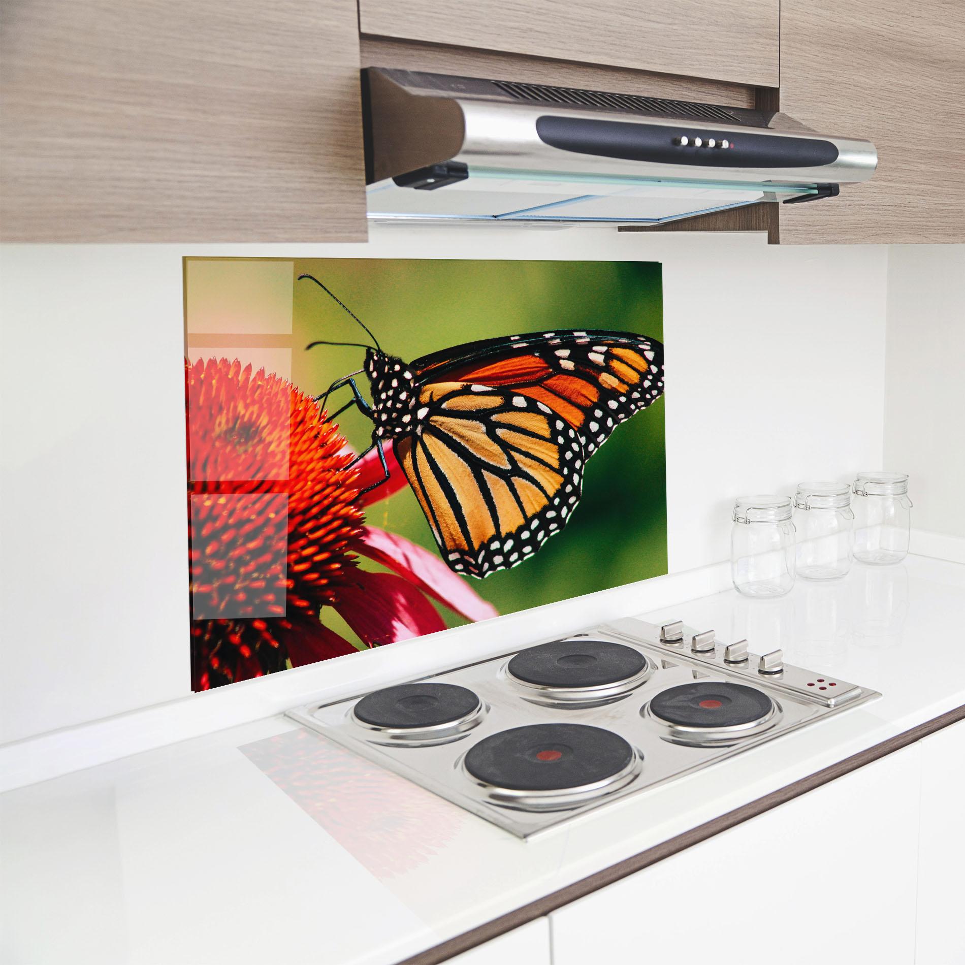 Küchenrückwand Glas Big Orange Butterfly mockup 8