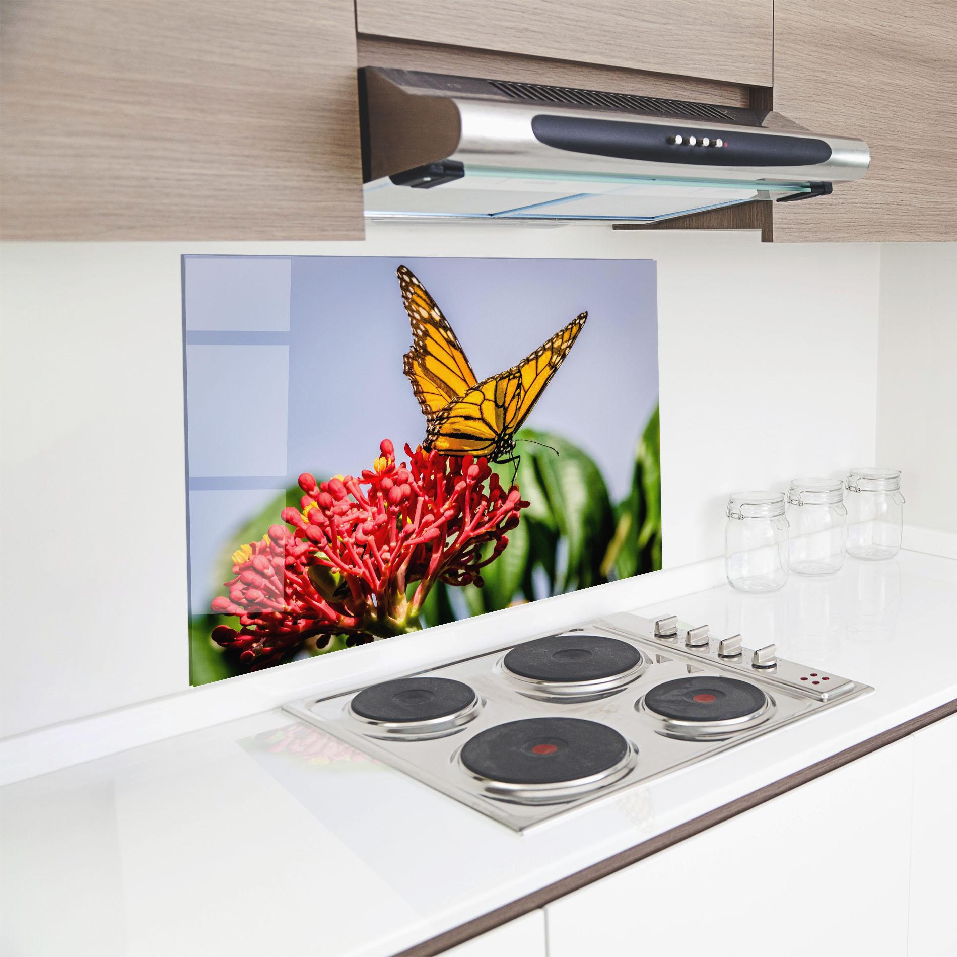 Küchenrückwand Glas Butterfly On Red Flower mockup 8