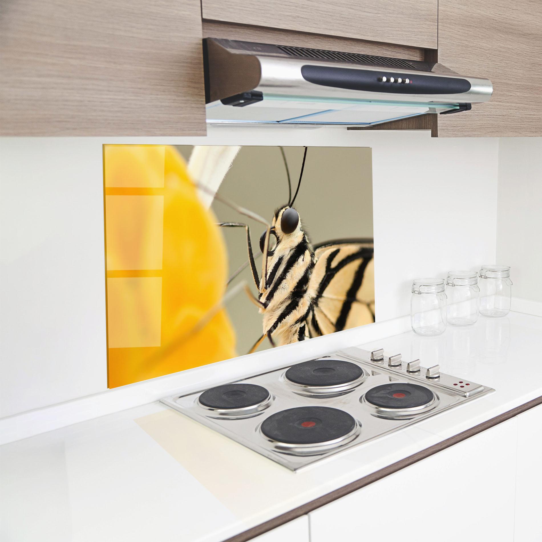 Küchenrückwand Glas Close Up Cream Butterfly mockup 8