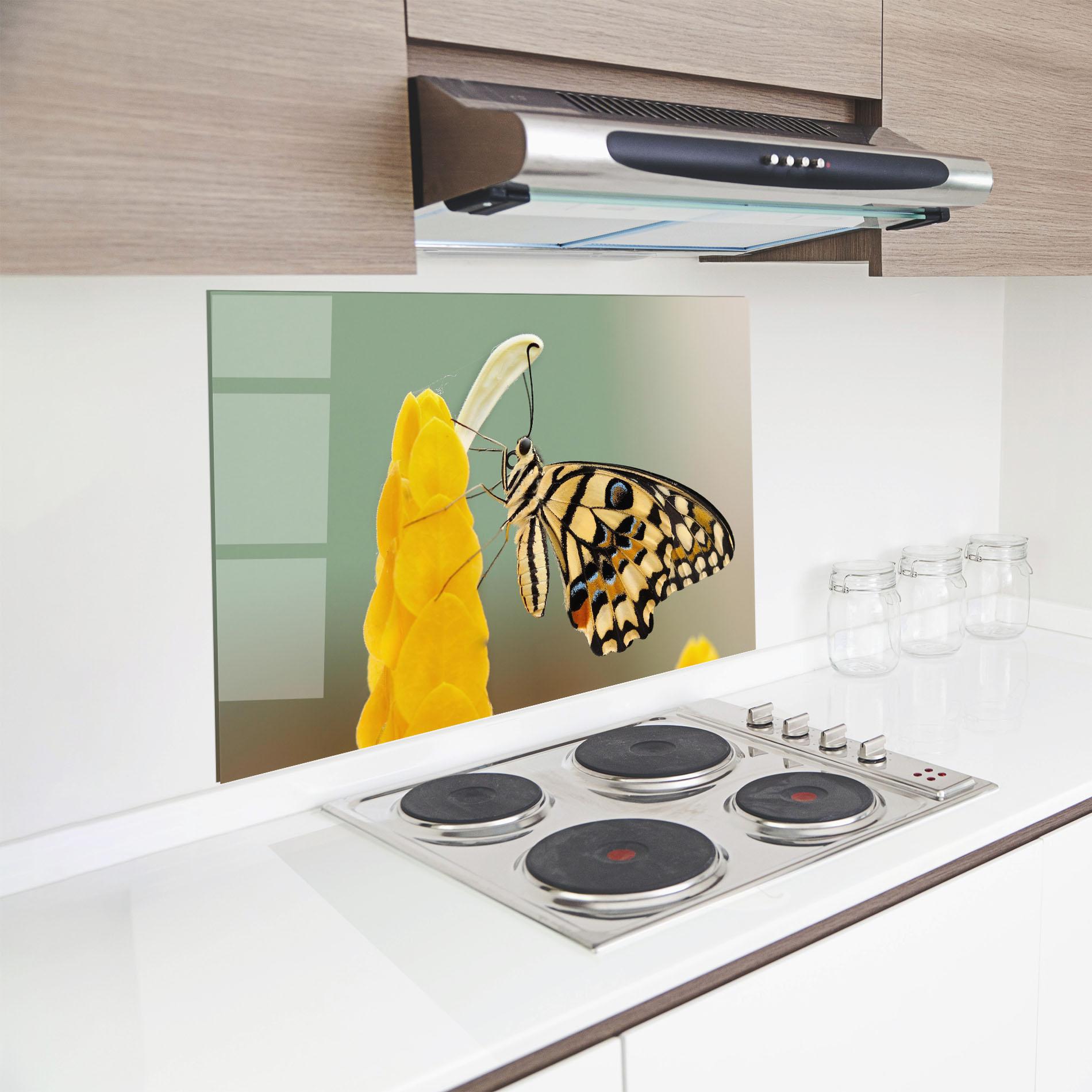 Küchenrückwand Glas Cream Yellow Butterfly mockup 8