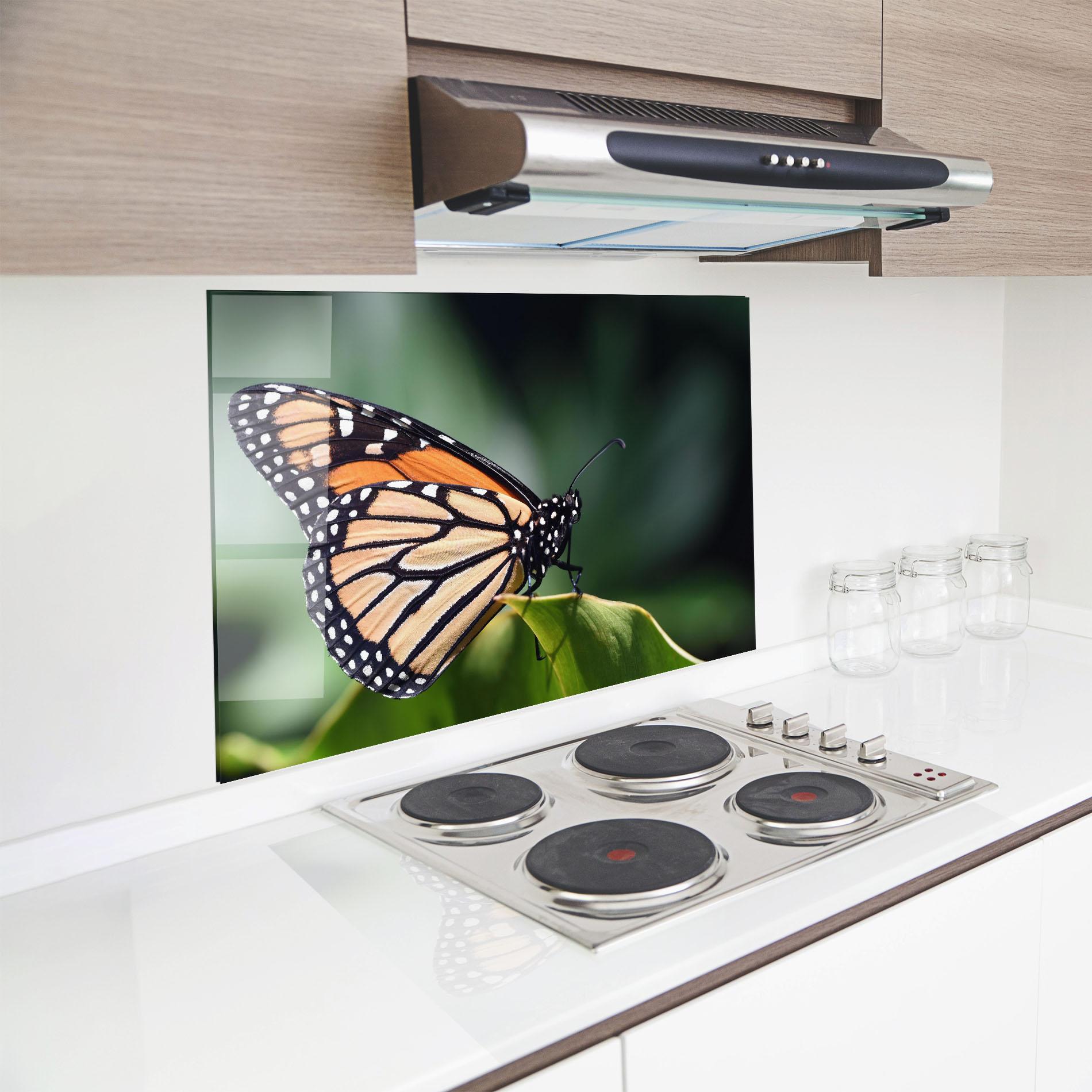 Küchenrückwand Glas Light Orange Butterfly mockup 8