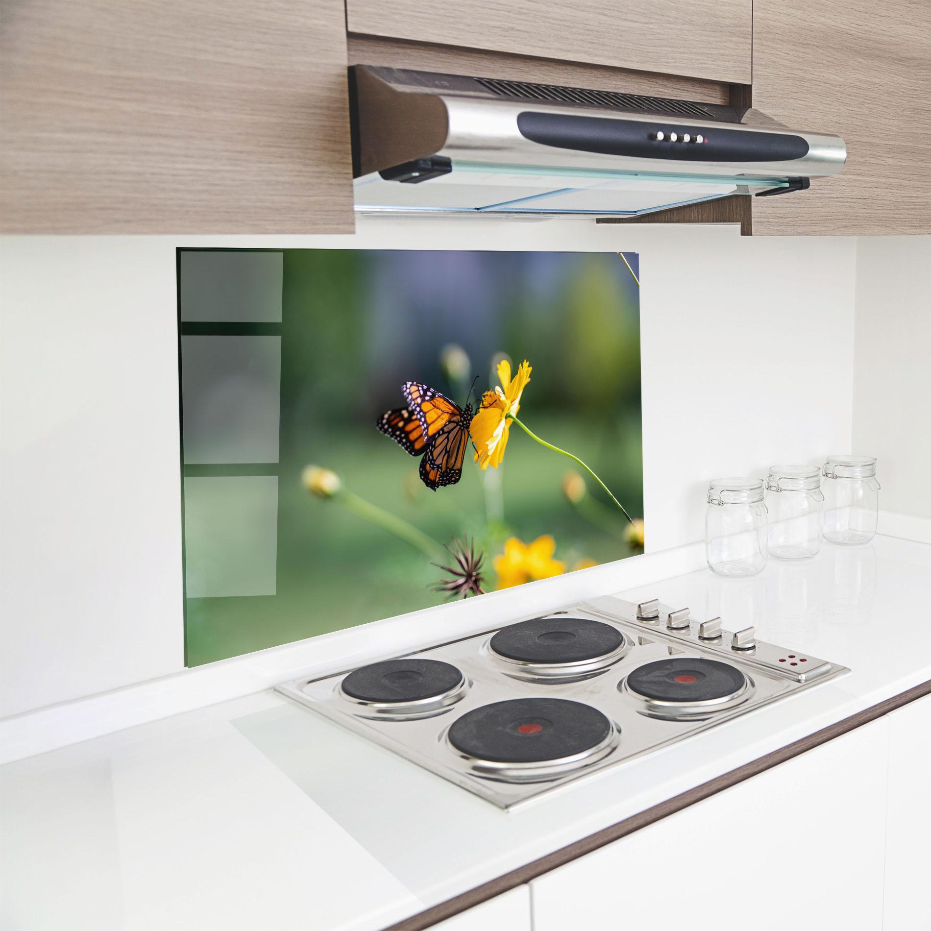 Küchenrückwand Glas Nice Orange Butterfly mockup 8